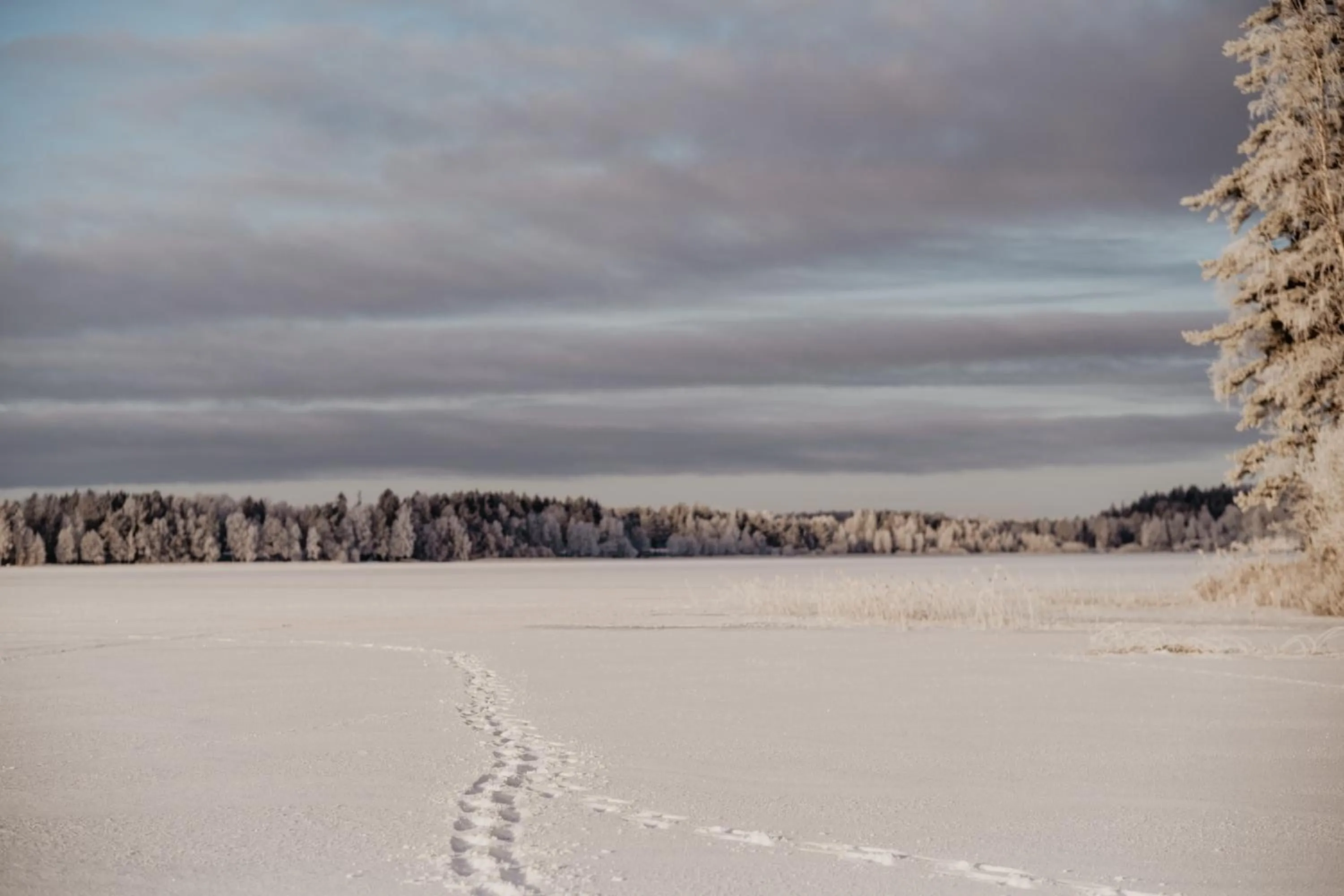 Winter in Stiftsgården Tallnäs