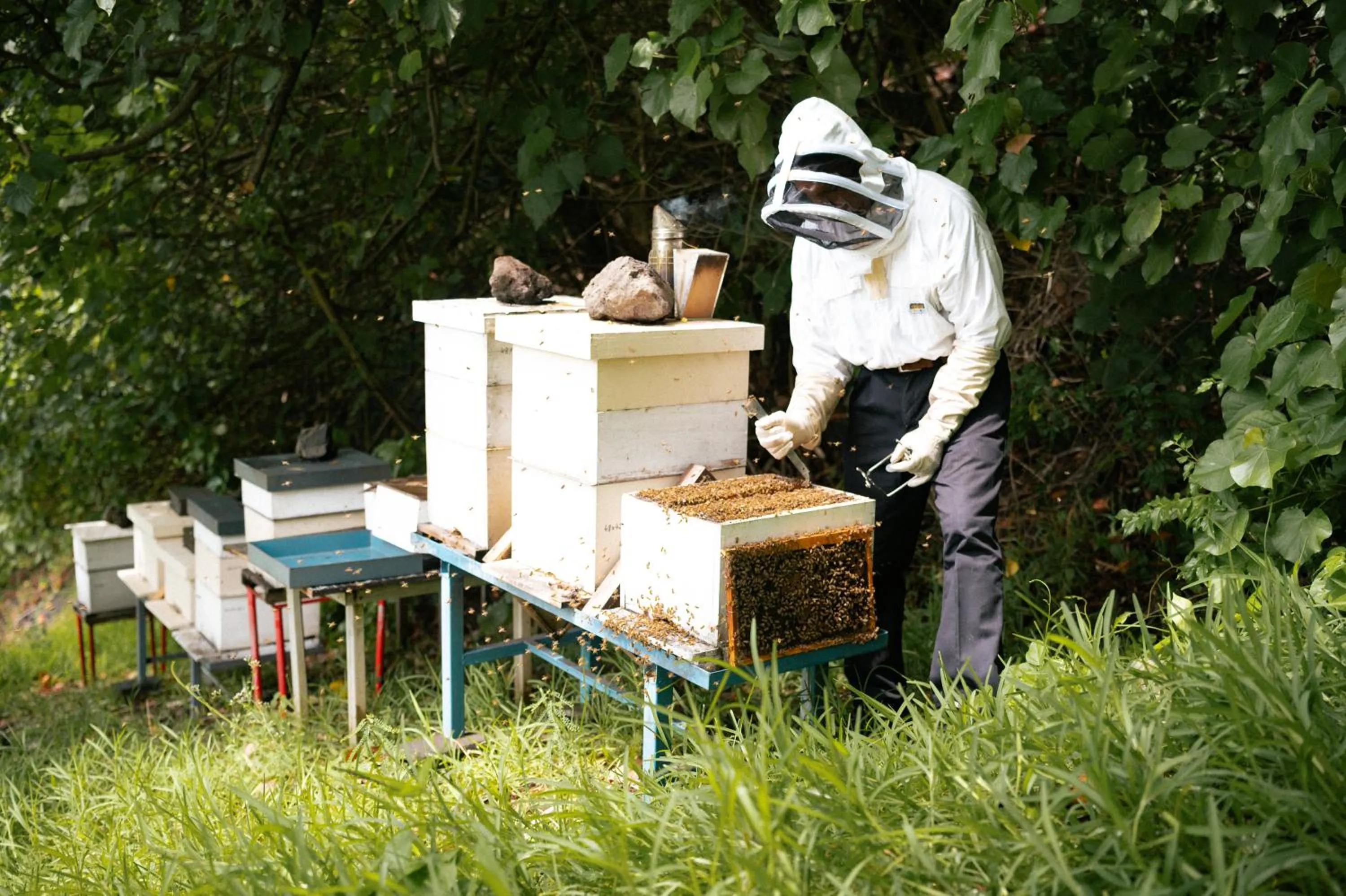 Food in Maitai Bora Bora