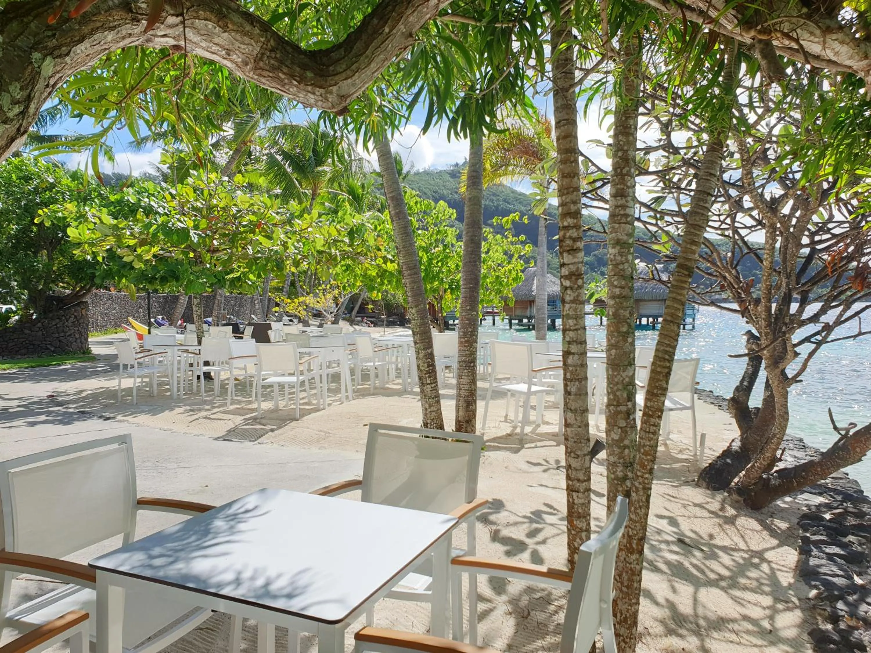 Restaurant/places to eat in Maitai Bora Bora