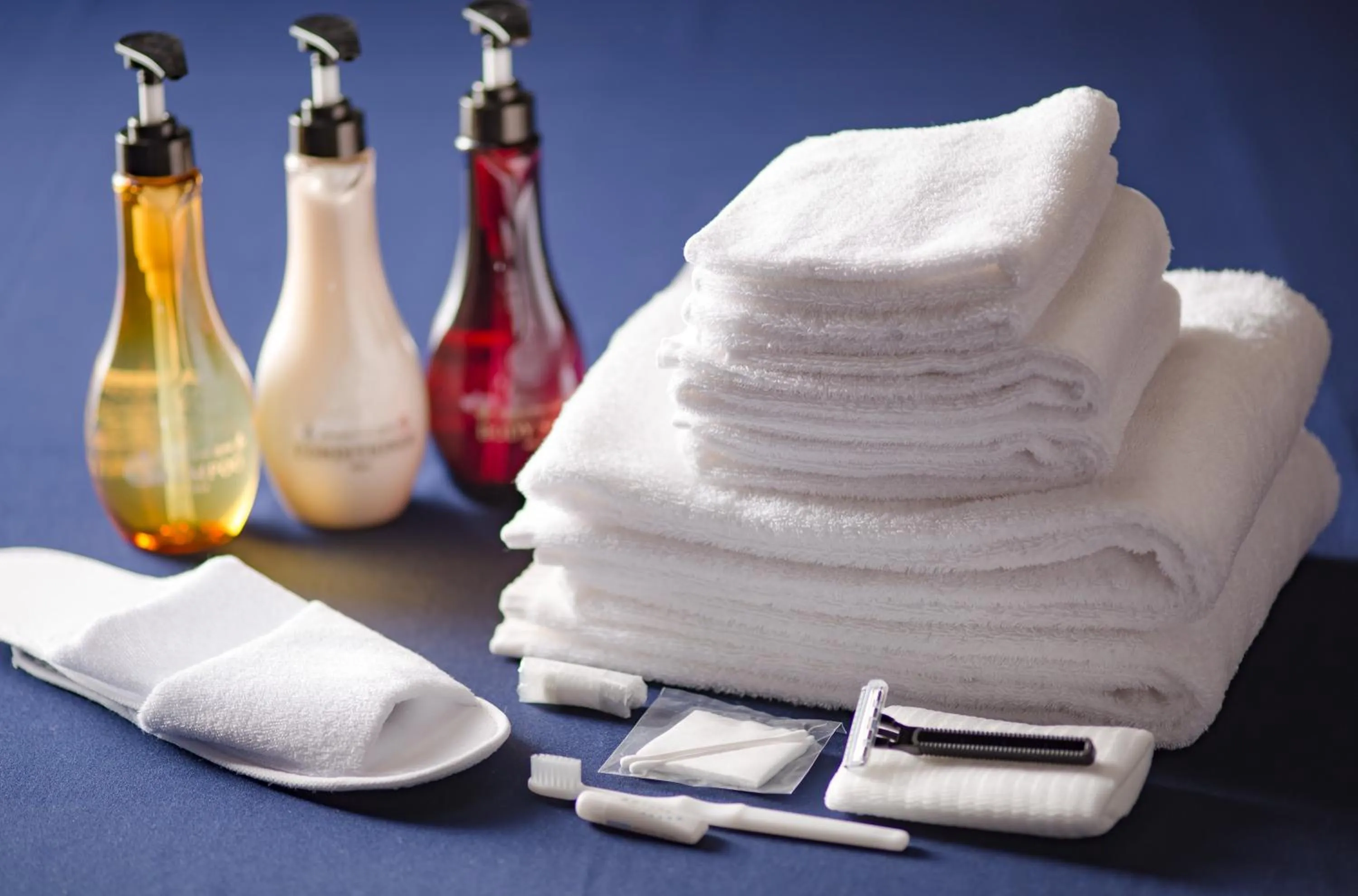 Photo of the whole room in Hotel Tokyo Garden Palace