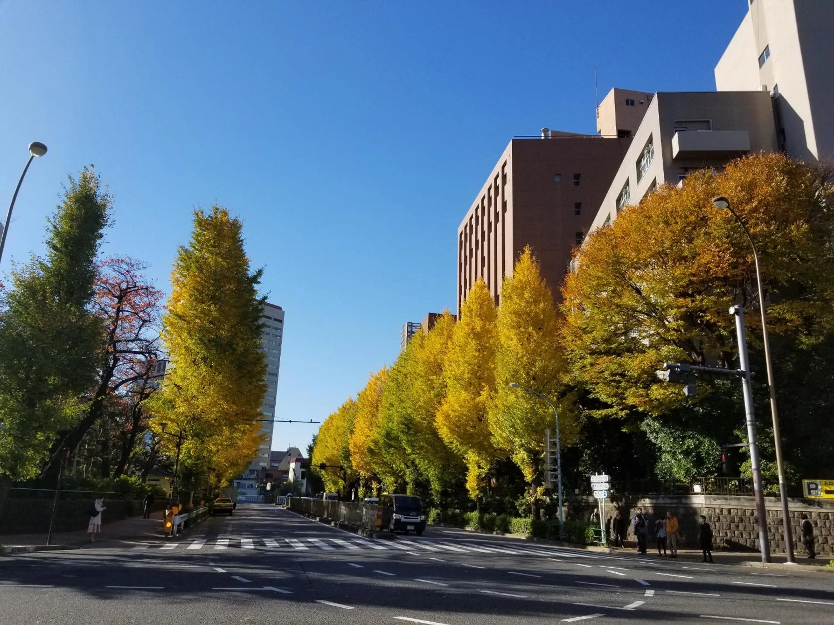 Nearby landmark in Hotel Tokyo Garden Palace
