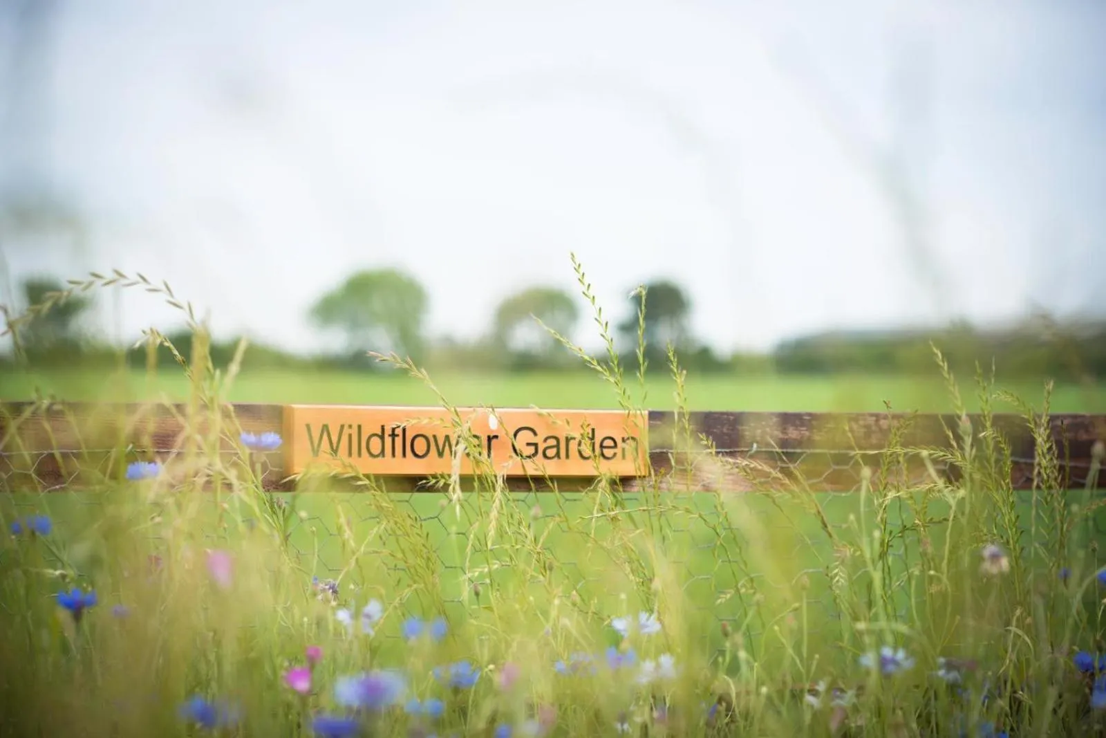 Property logo or sign in Morndyke Shepherds Huts