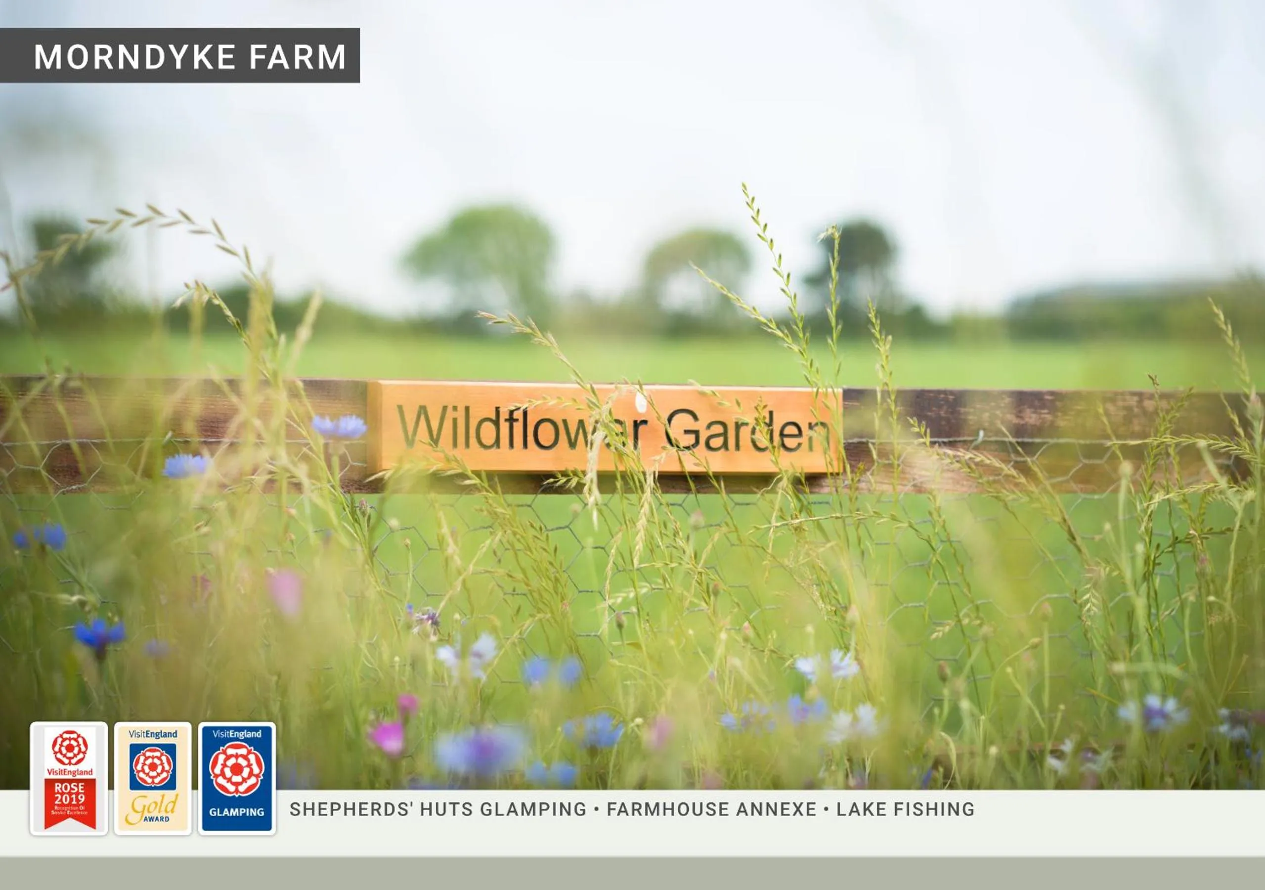 Garden in Morndyke Shepherds Huts