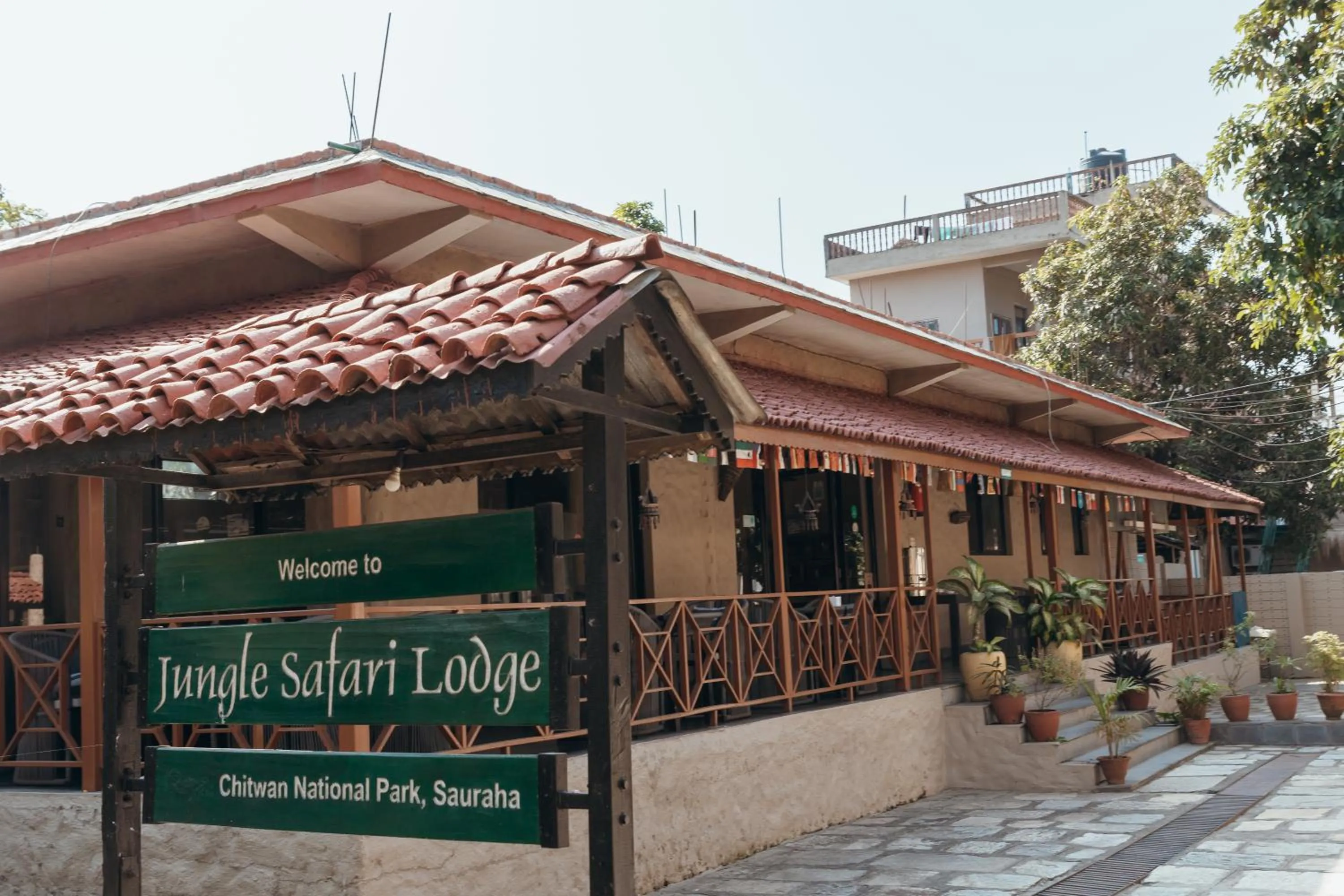 Jungle Safari Lodge- Serenity in the Wild