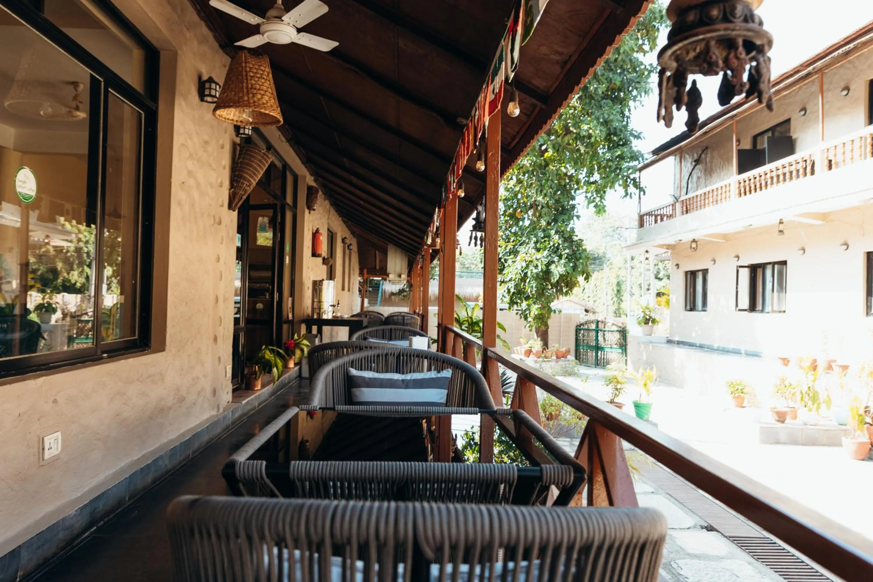 Jungle Safari Lodge- Serenity in the Wild