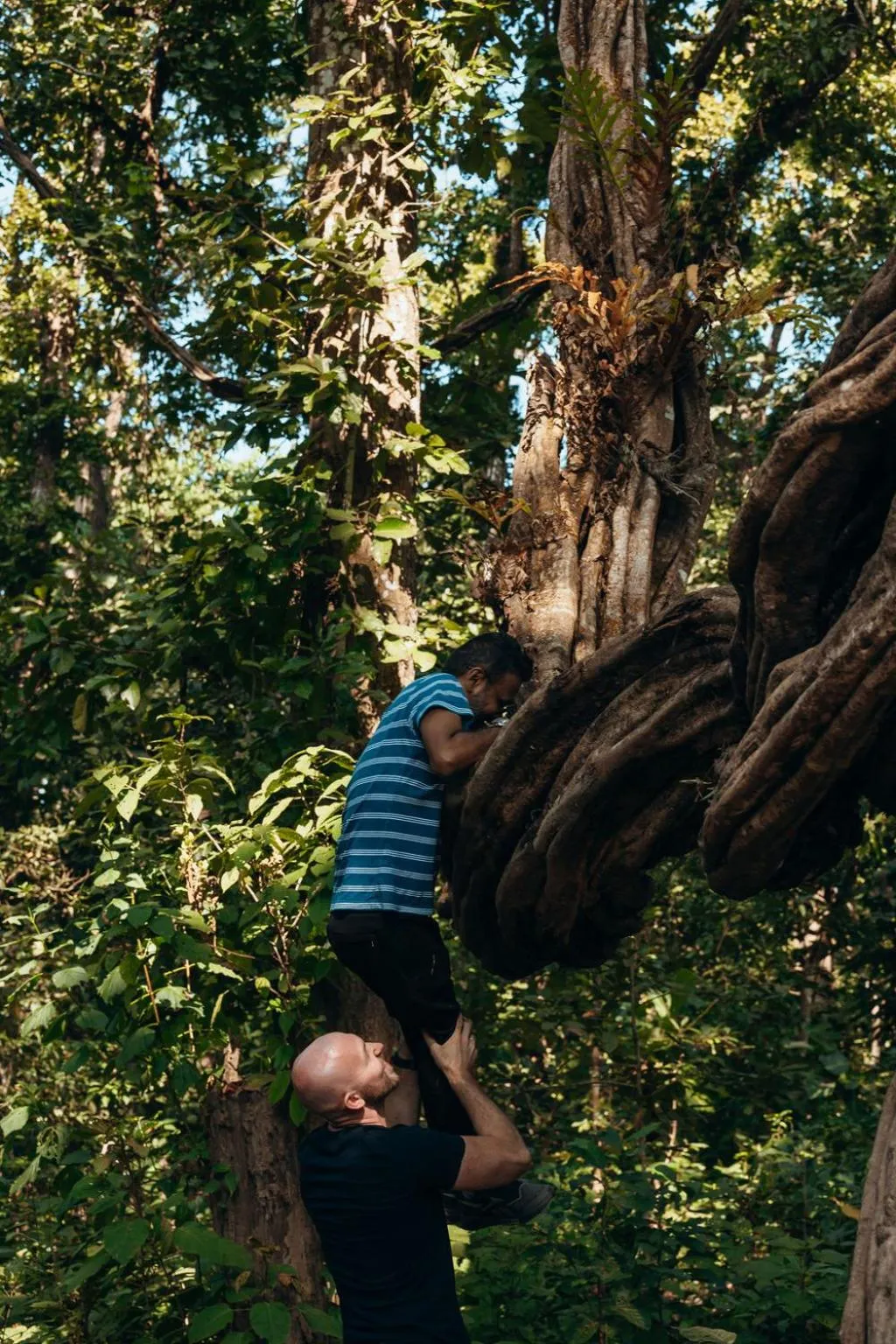 Jungle Safari Lodge- Serenity in the Wild