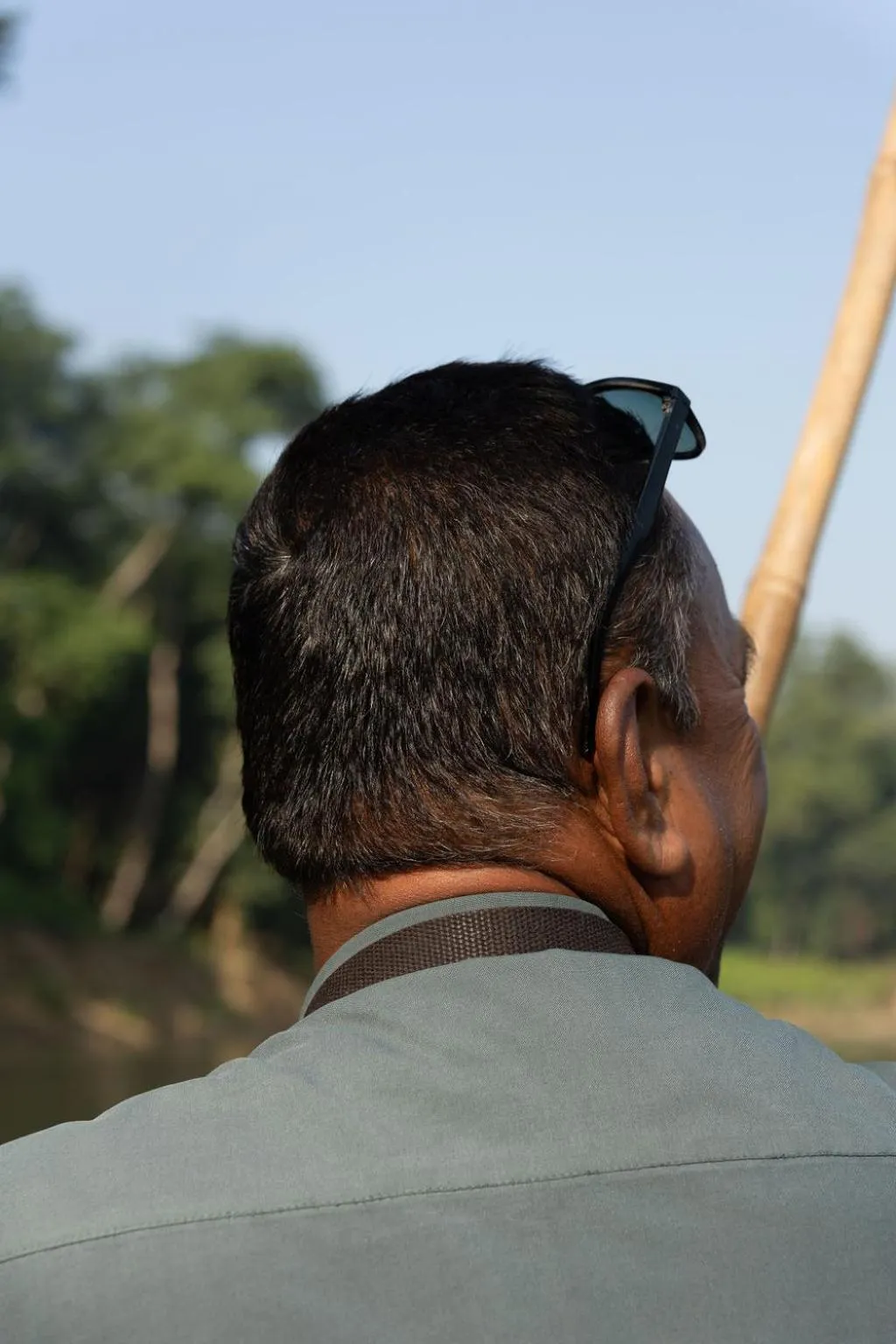 Jungle Safari Lodge- Serenity in the Wild