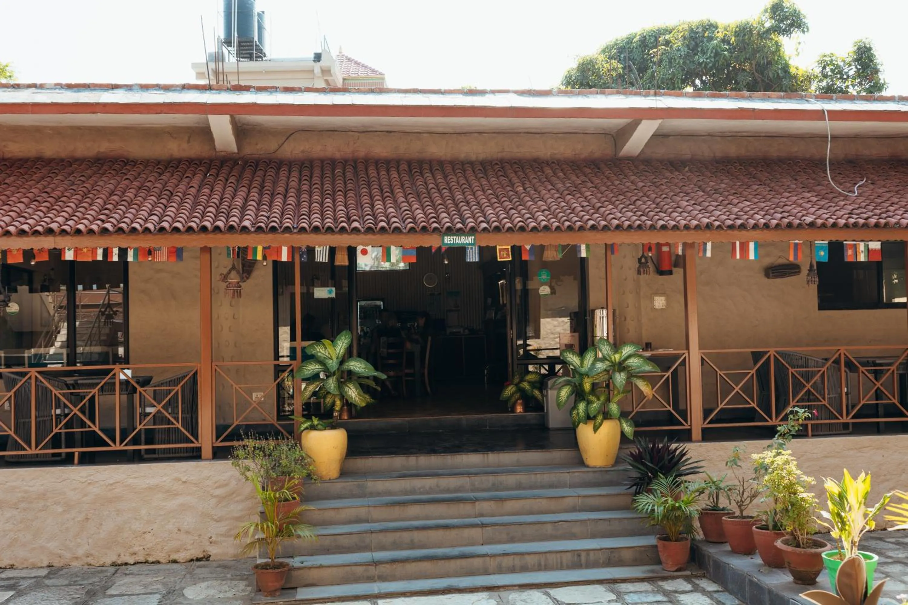 Jungle Safari Lodge- Serenity in the Wild