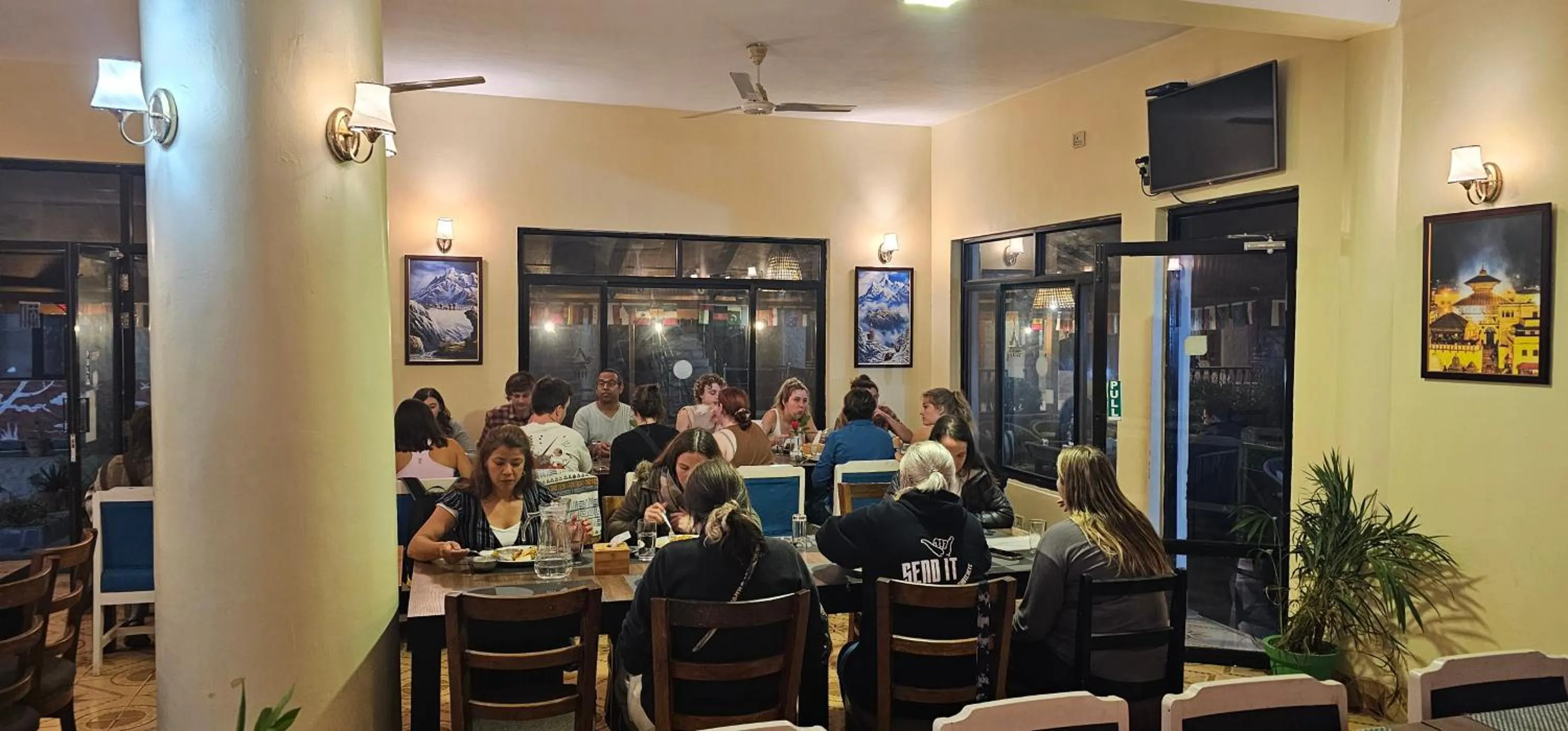 Jungle Safari Lodge- Serenity in the Wild