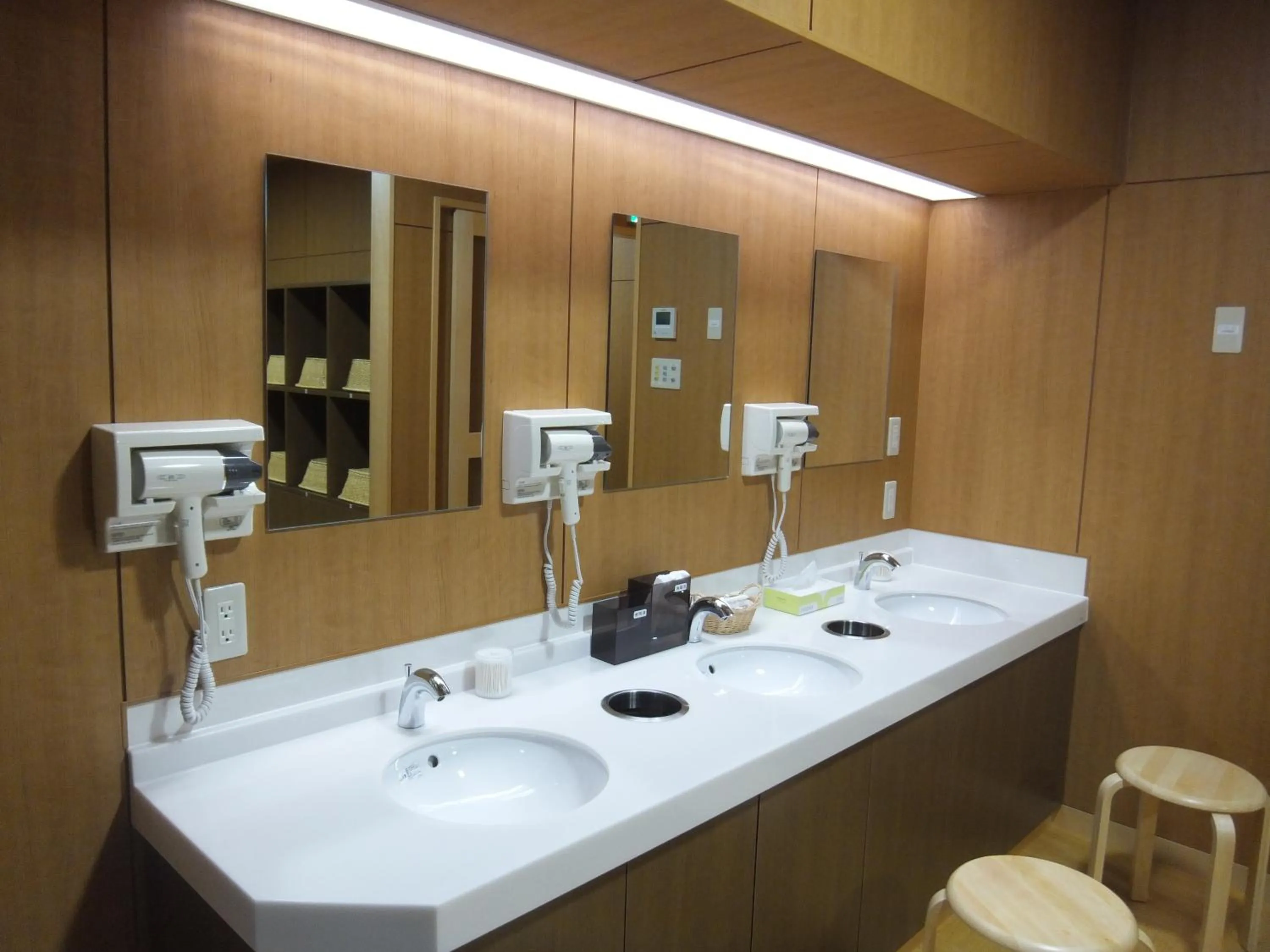 Hot Spring Bath in Nikko Tokanso