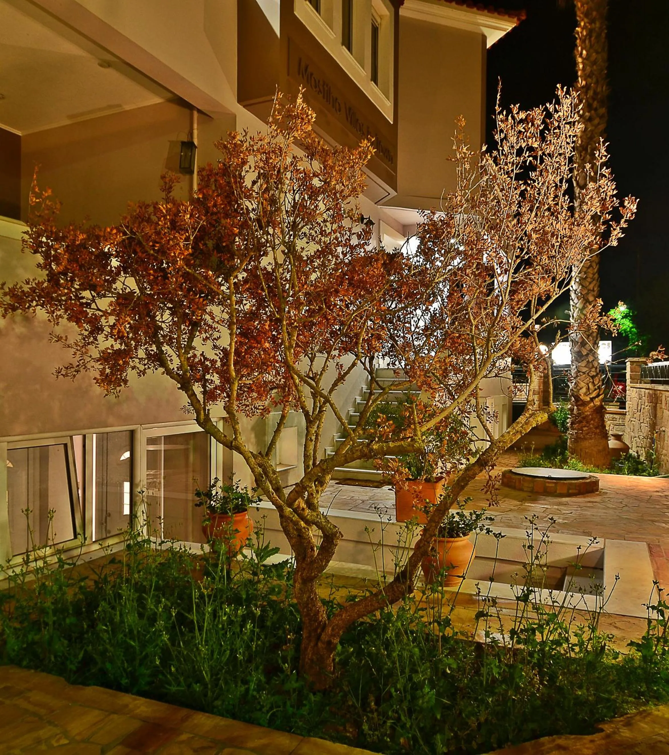 Garden in Mastiha Villas in Town