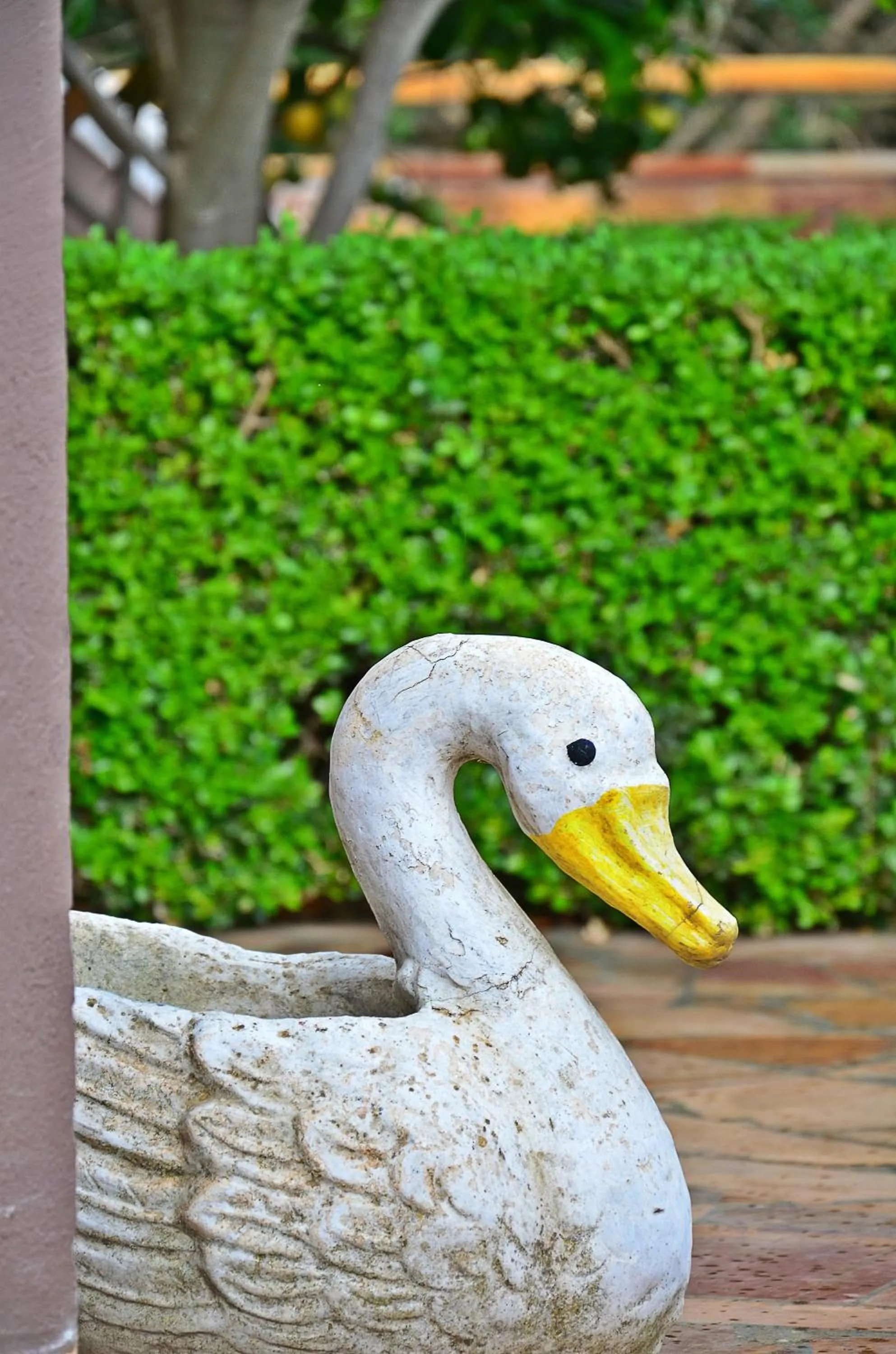 Garden in Mastiha Villas in Town