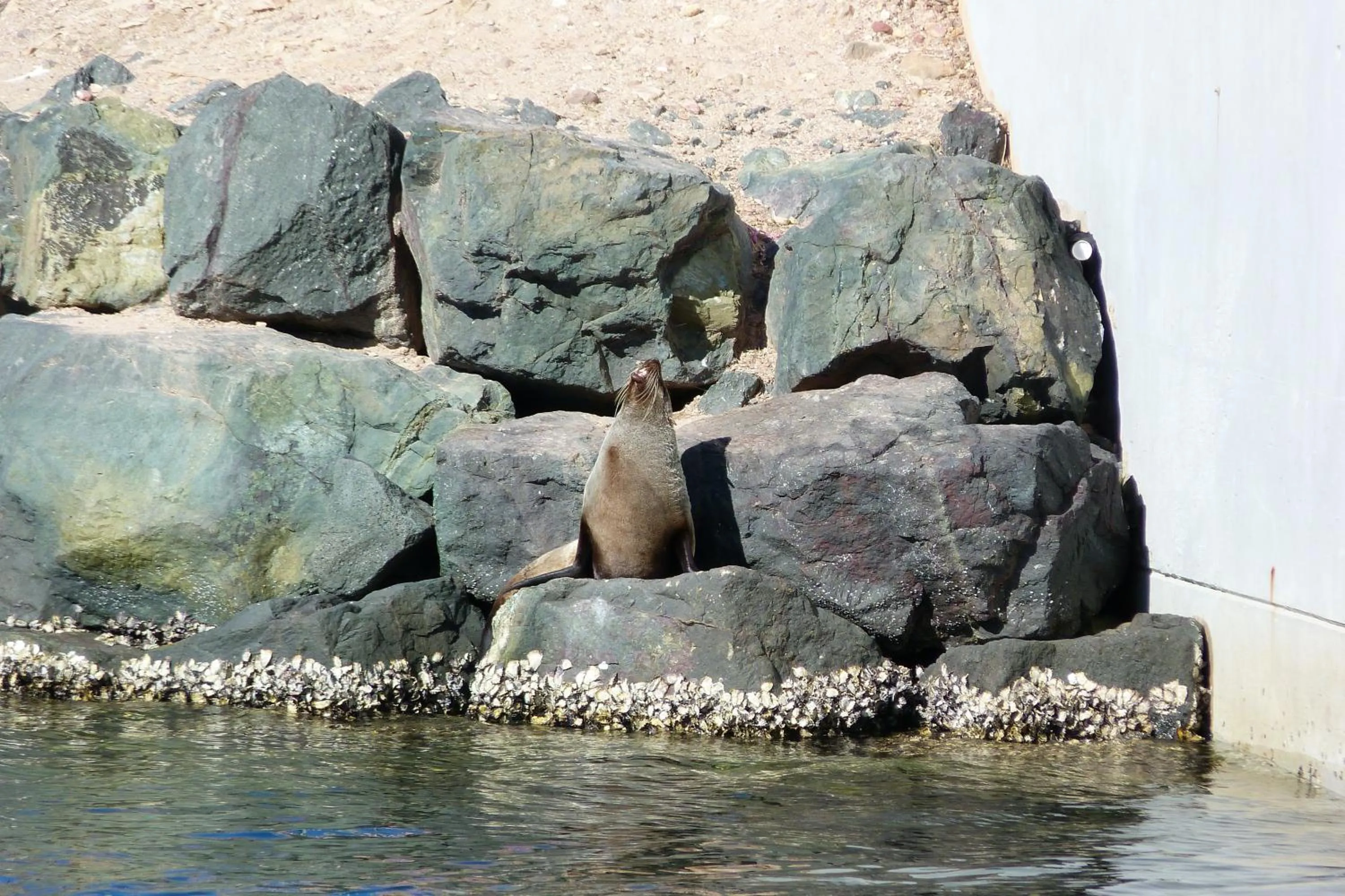 Other in Sails Luxury Apartments Merimbula