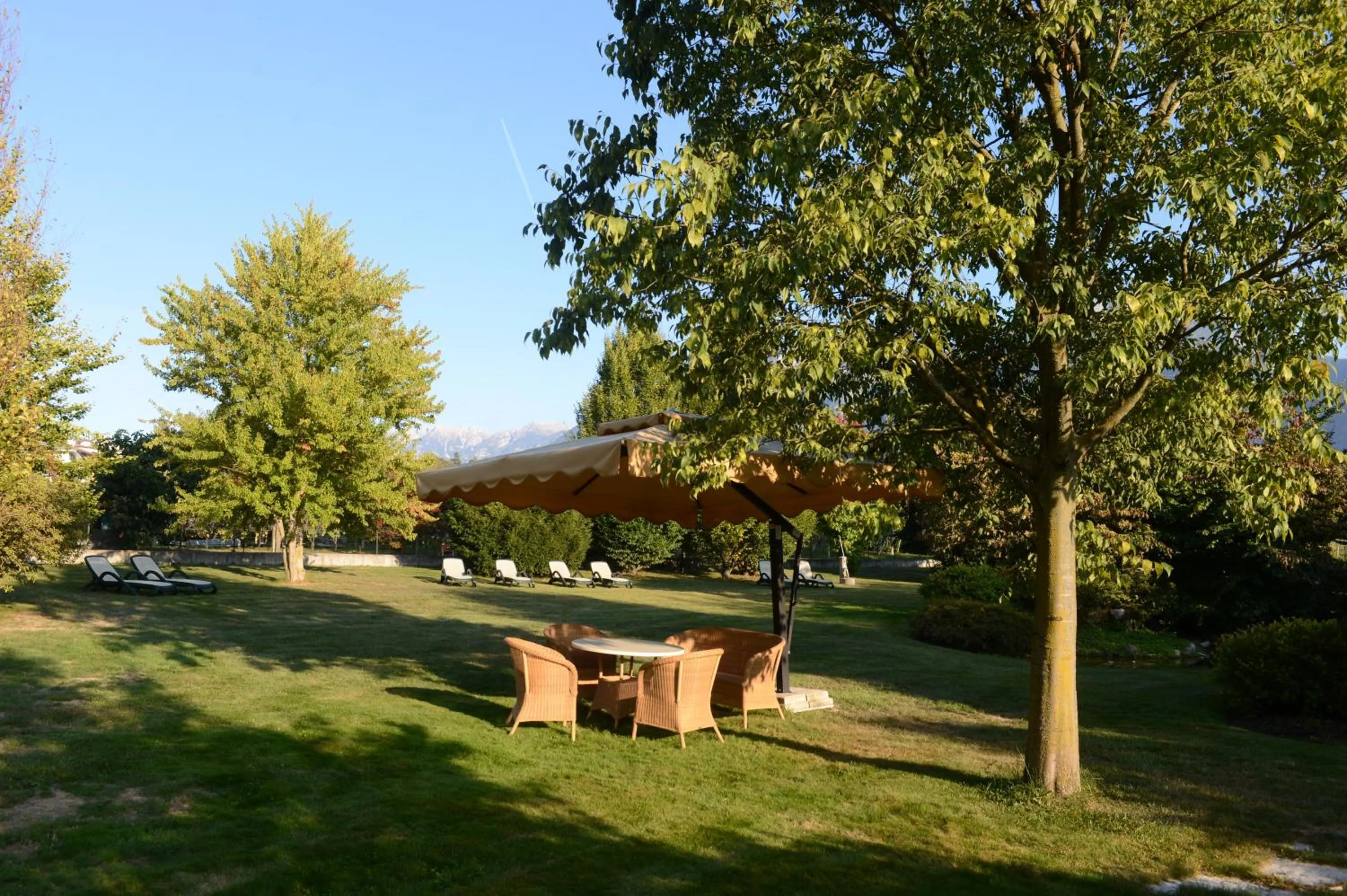 Garden in Hotel Ambassador