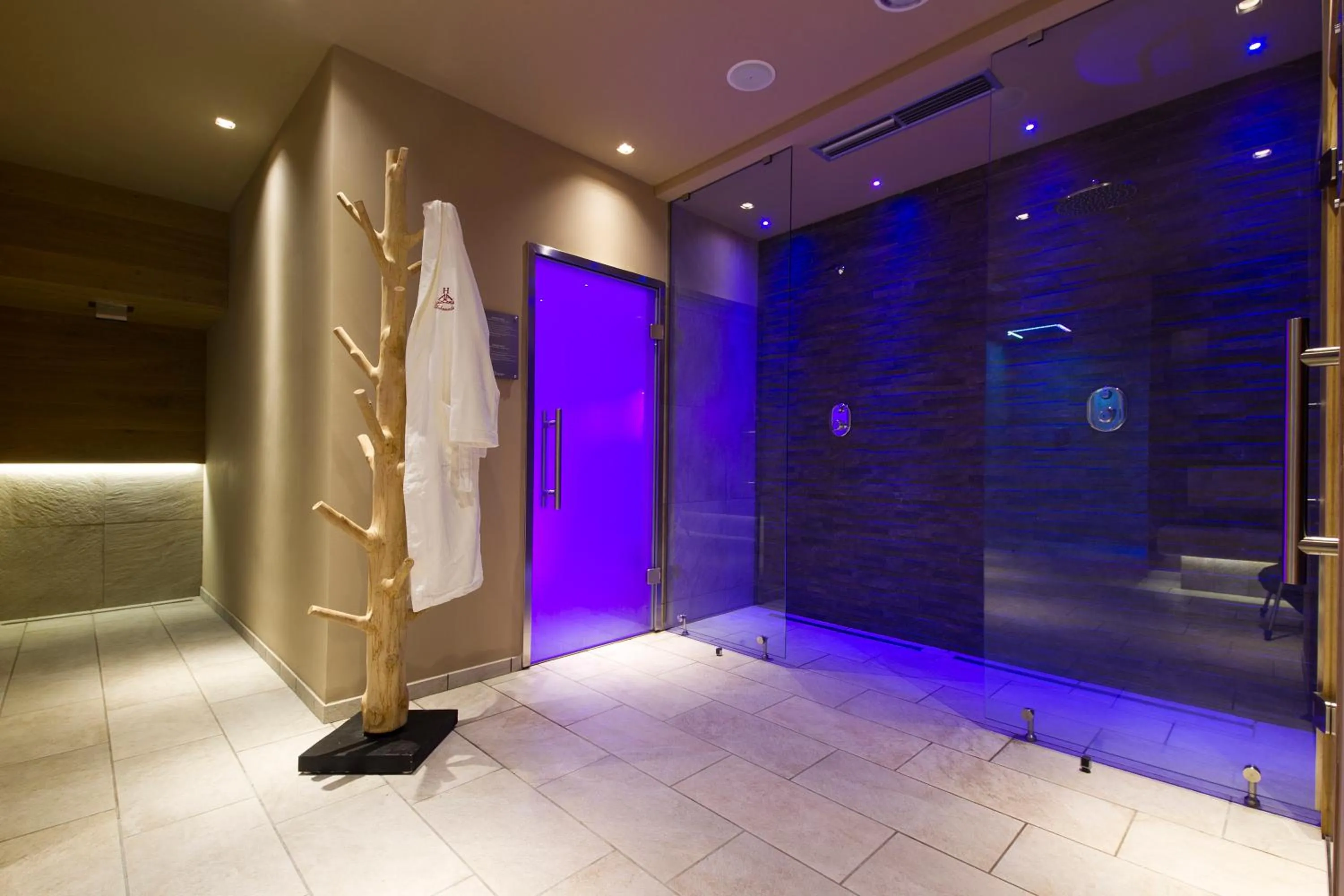 Spa and wellness centre/facilities in Hotel Ambassador