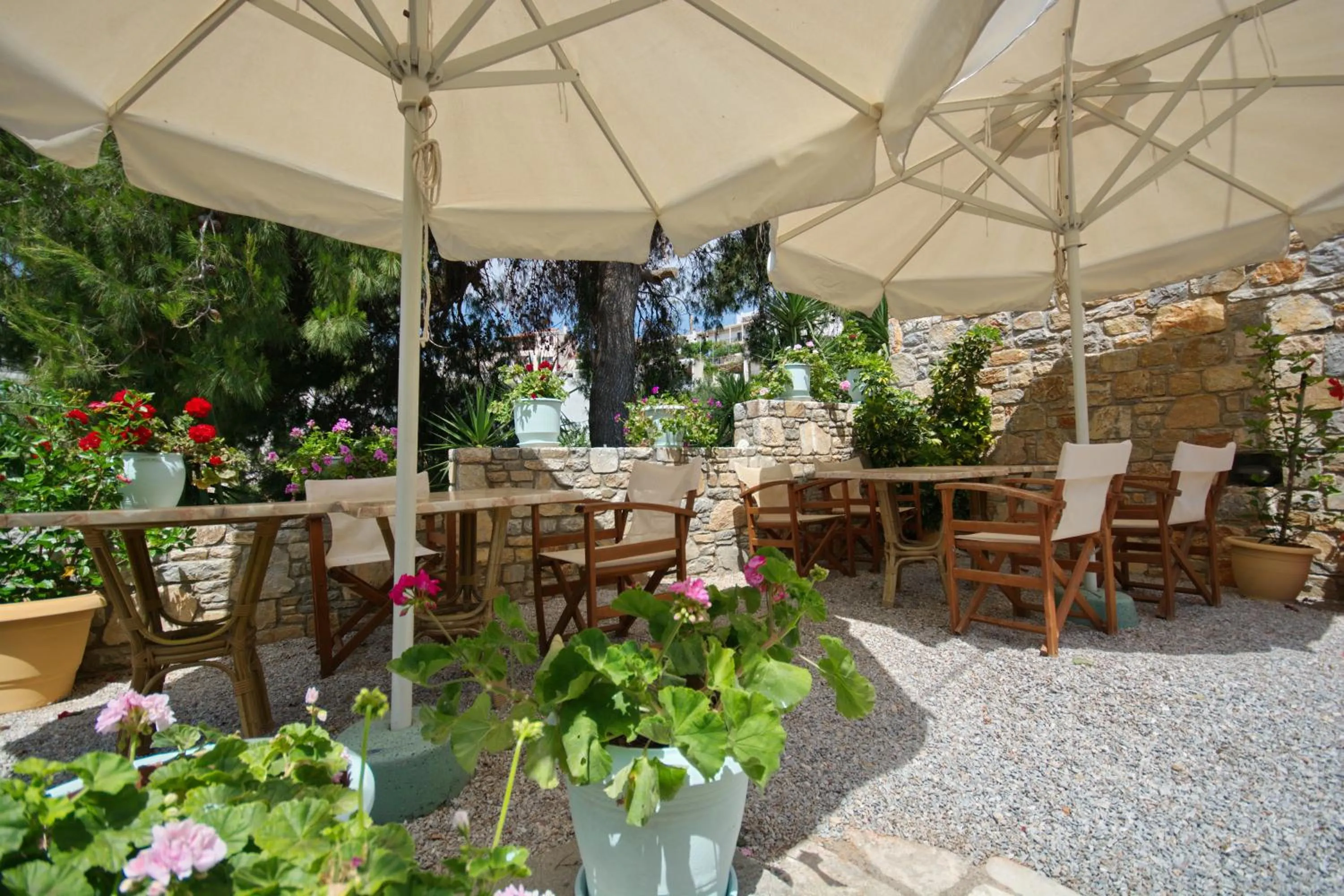 Garden in Pension Votsi