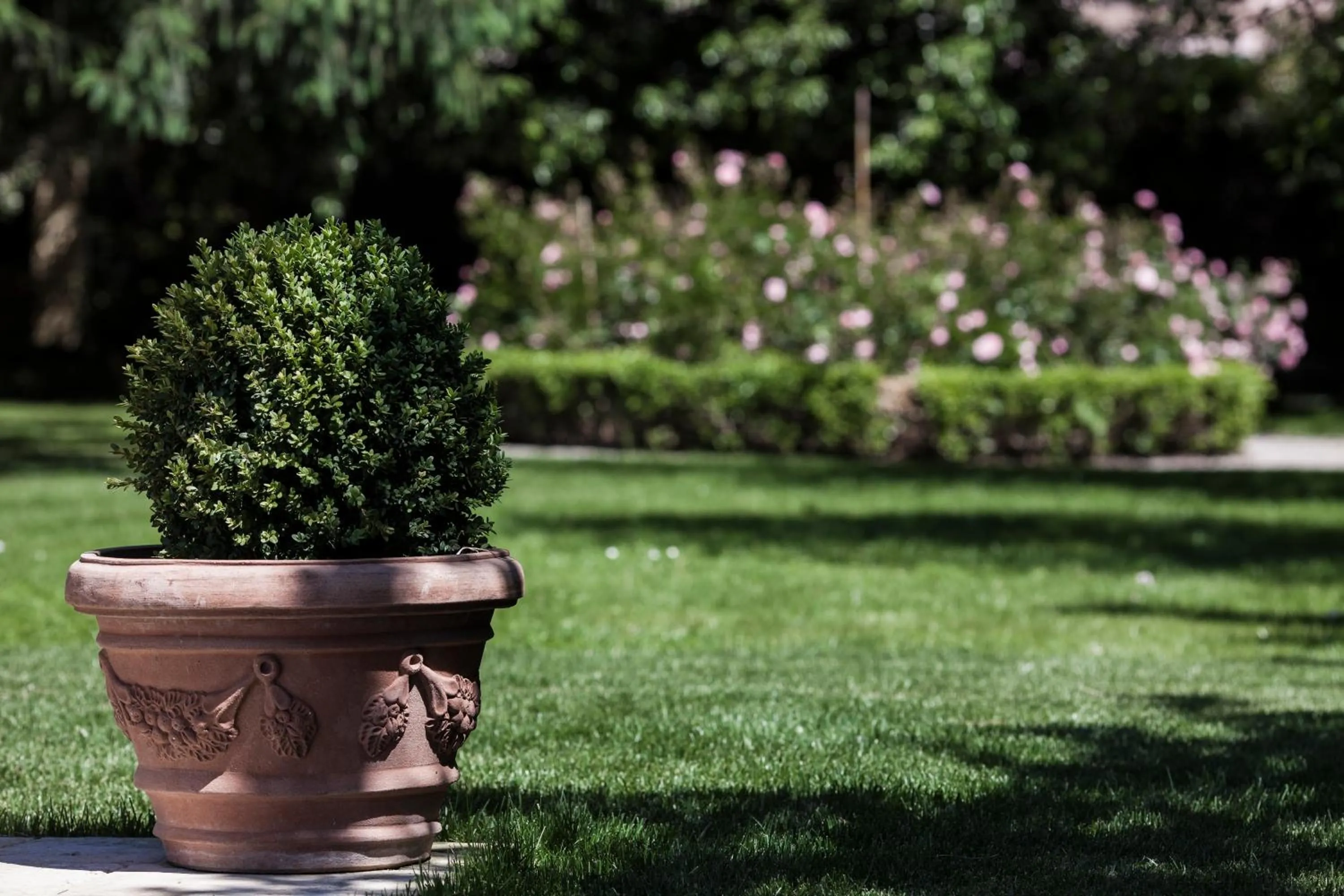 Garden in Villino di Porporano