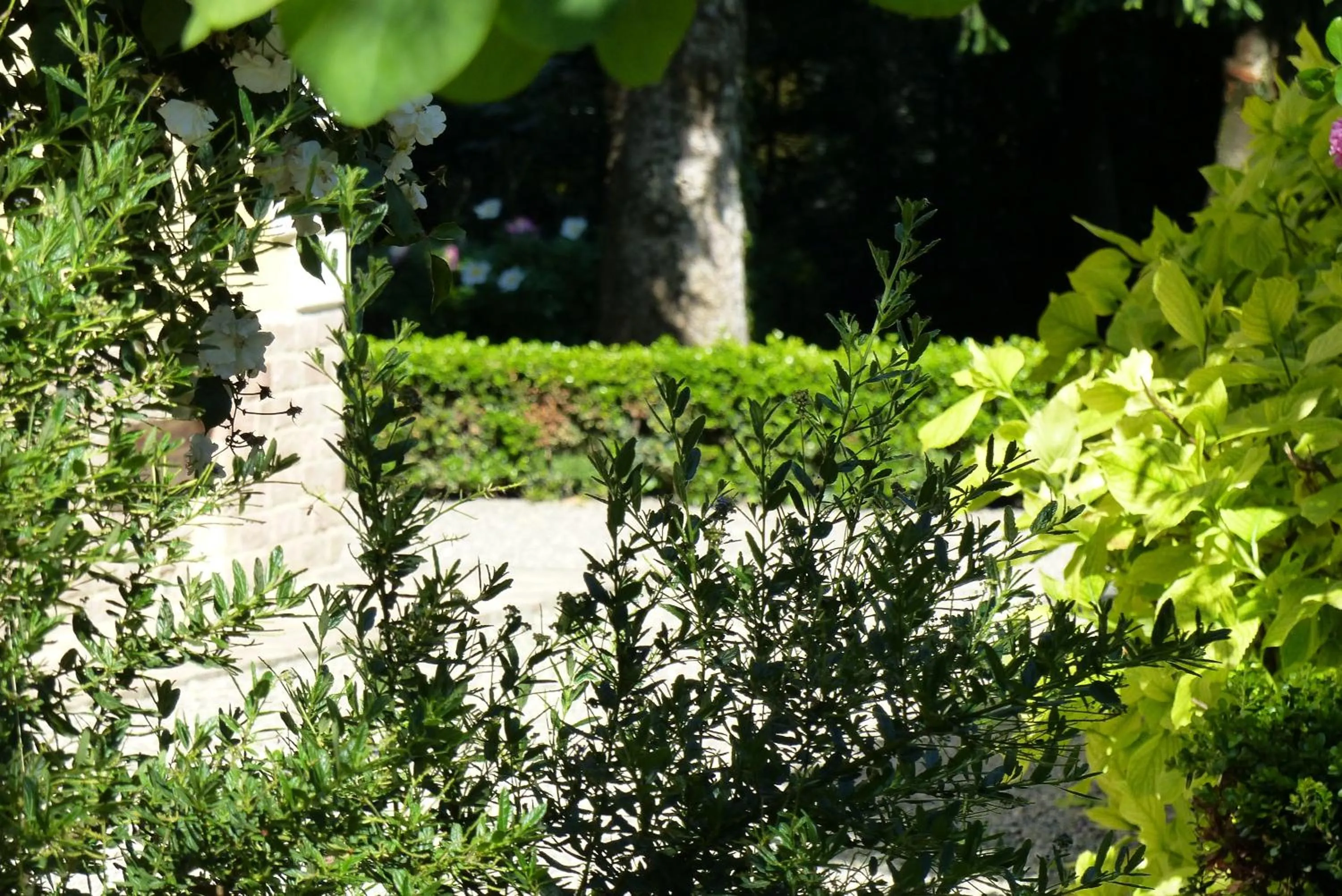 Garden in Villino di Porporano