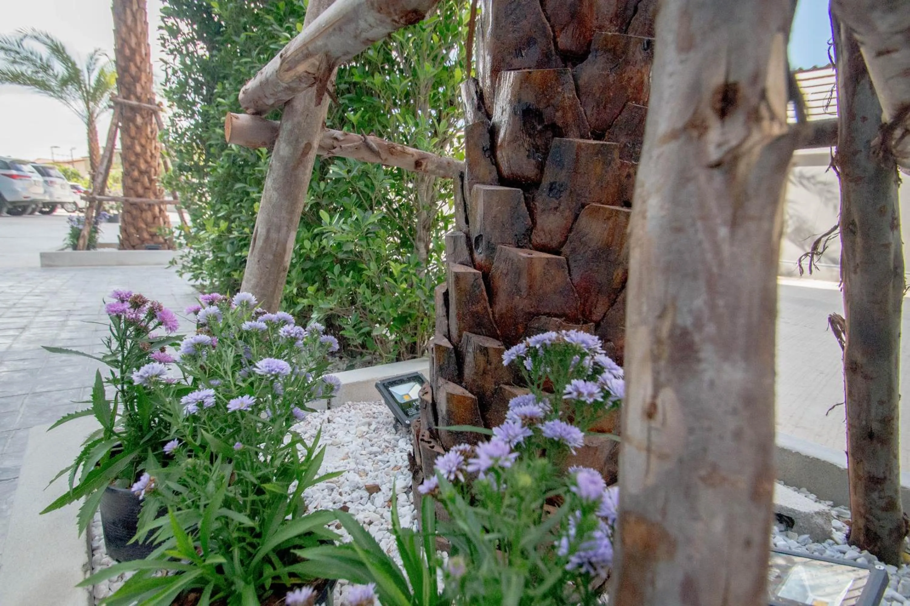 Natural landscape in Baan Yamoo Ranong