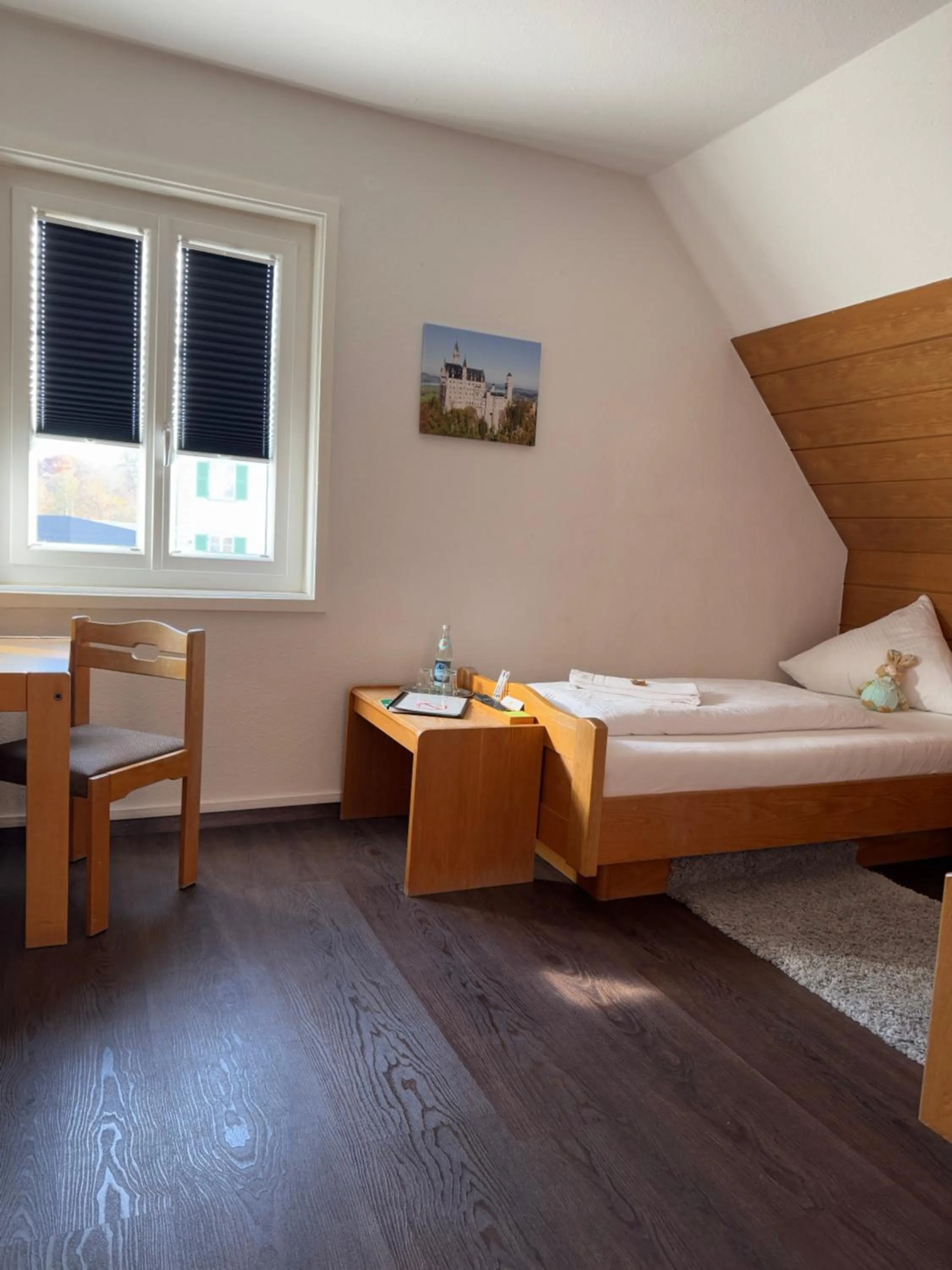 Photo of the whole room, Bed in Hotel Hasen Kaufbeuren Allgäu