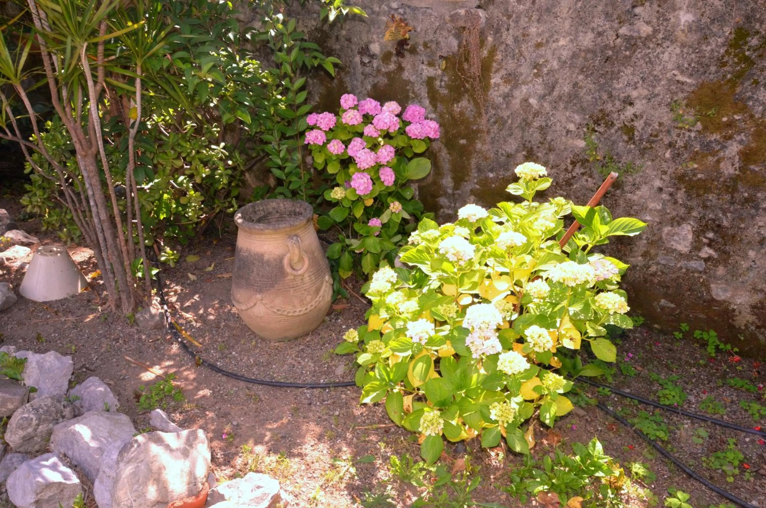 Hotel Del Sole Al Plebiscito