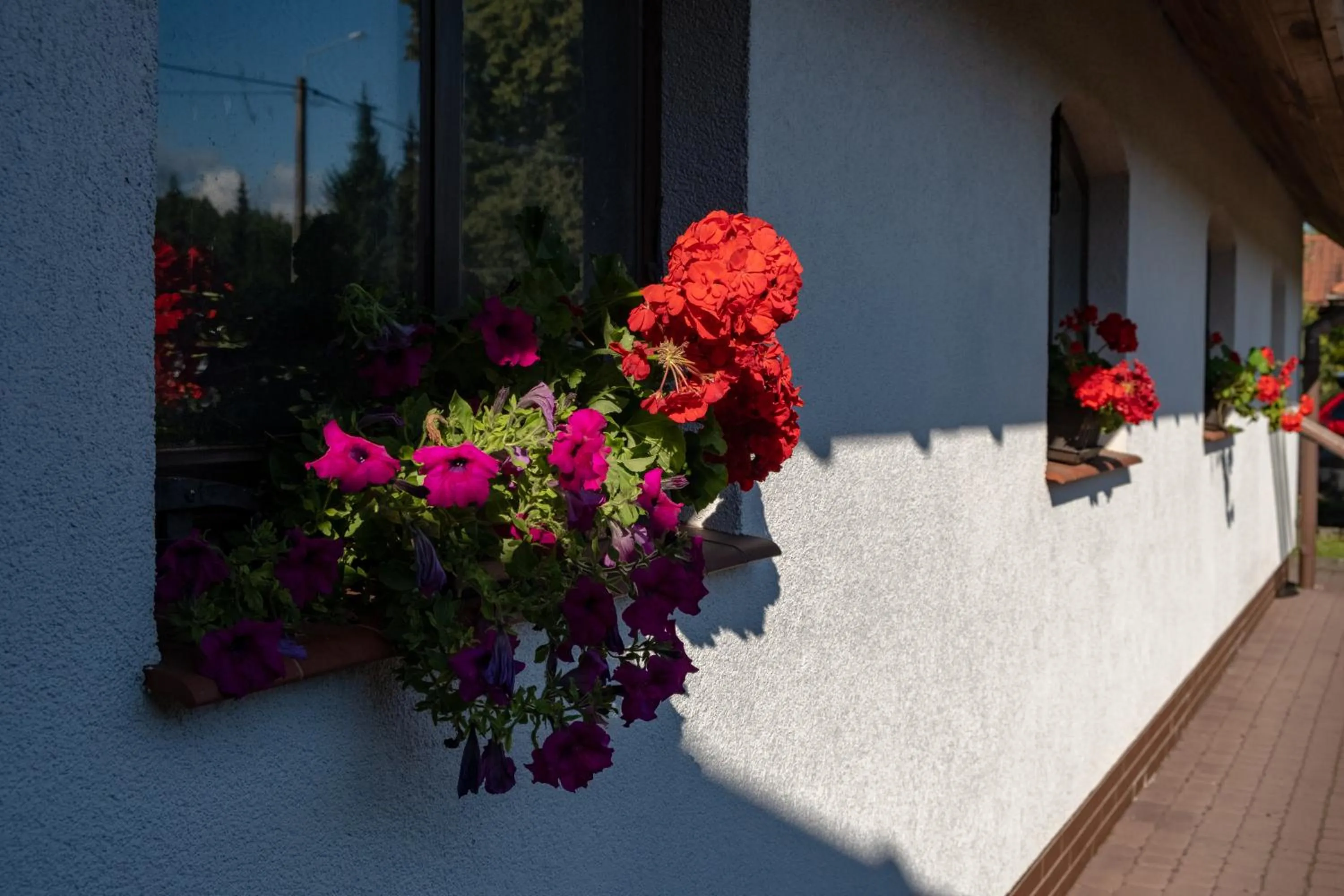 Siedlisko Leszczewek