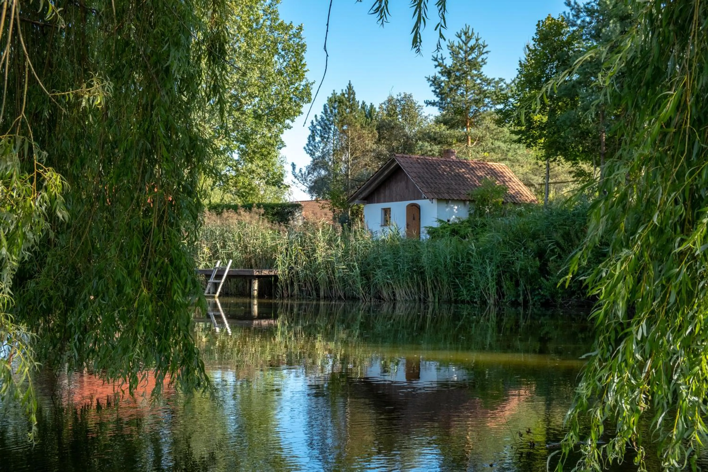 Siedlisko Leszczewek