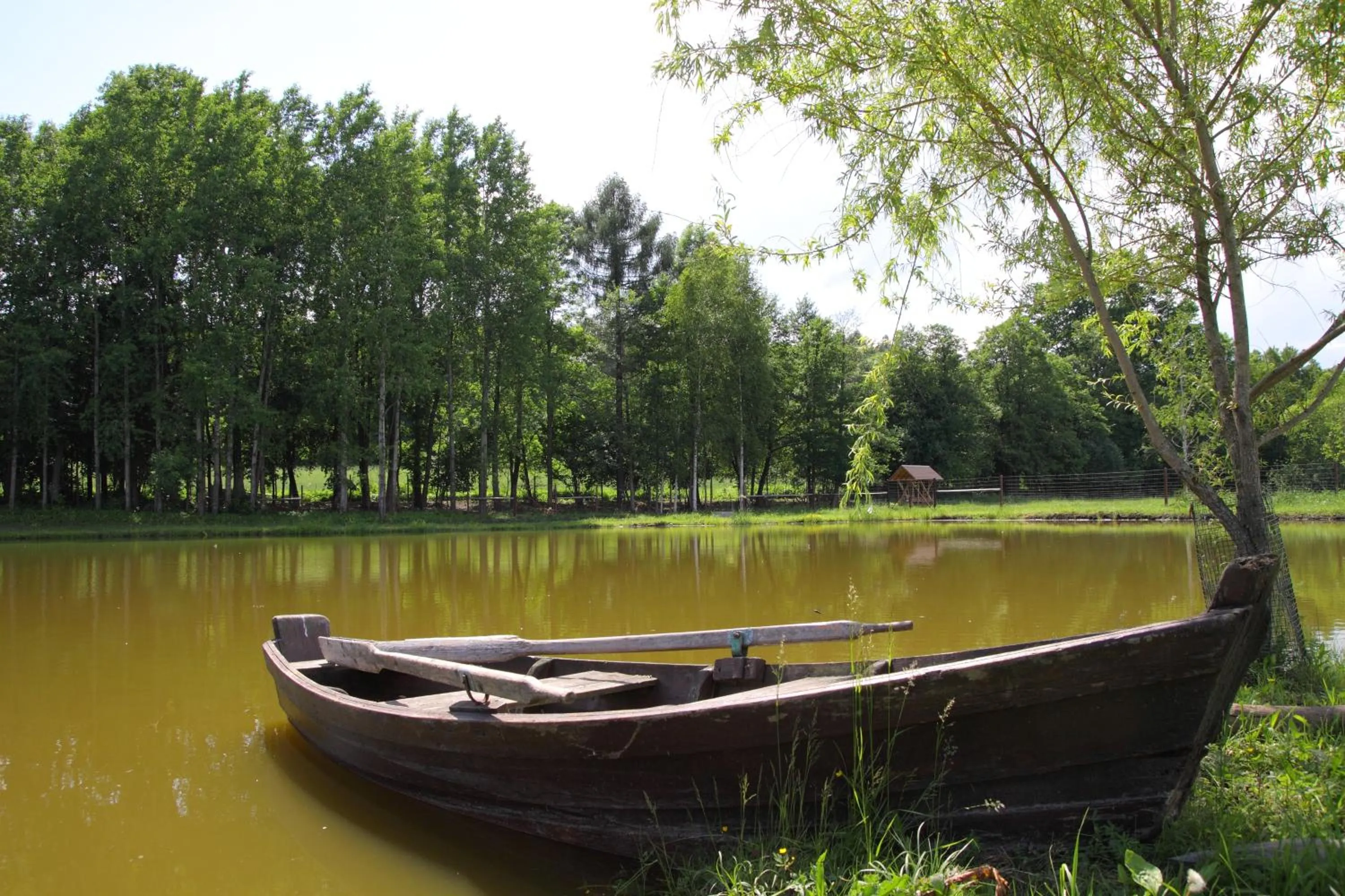 Natural landscape in Siedlisko Leszczewek