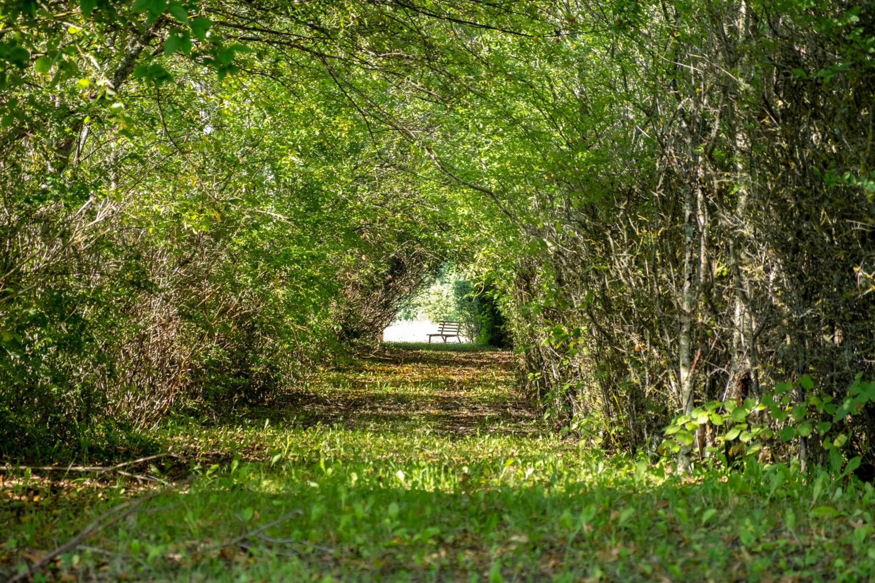 Siedlisko Leszczewek