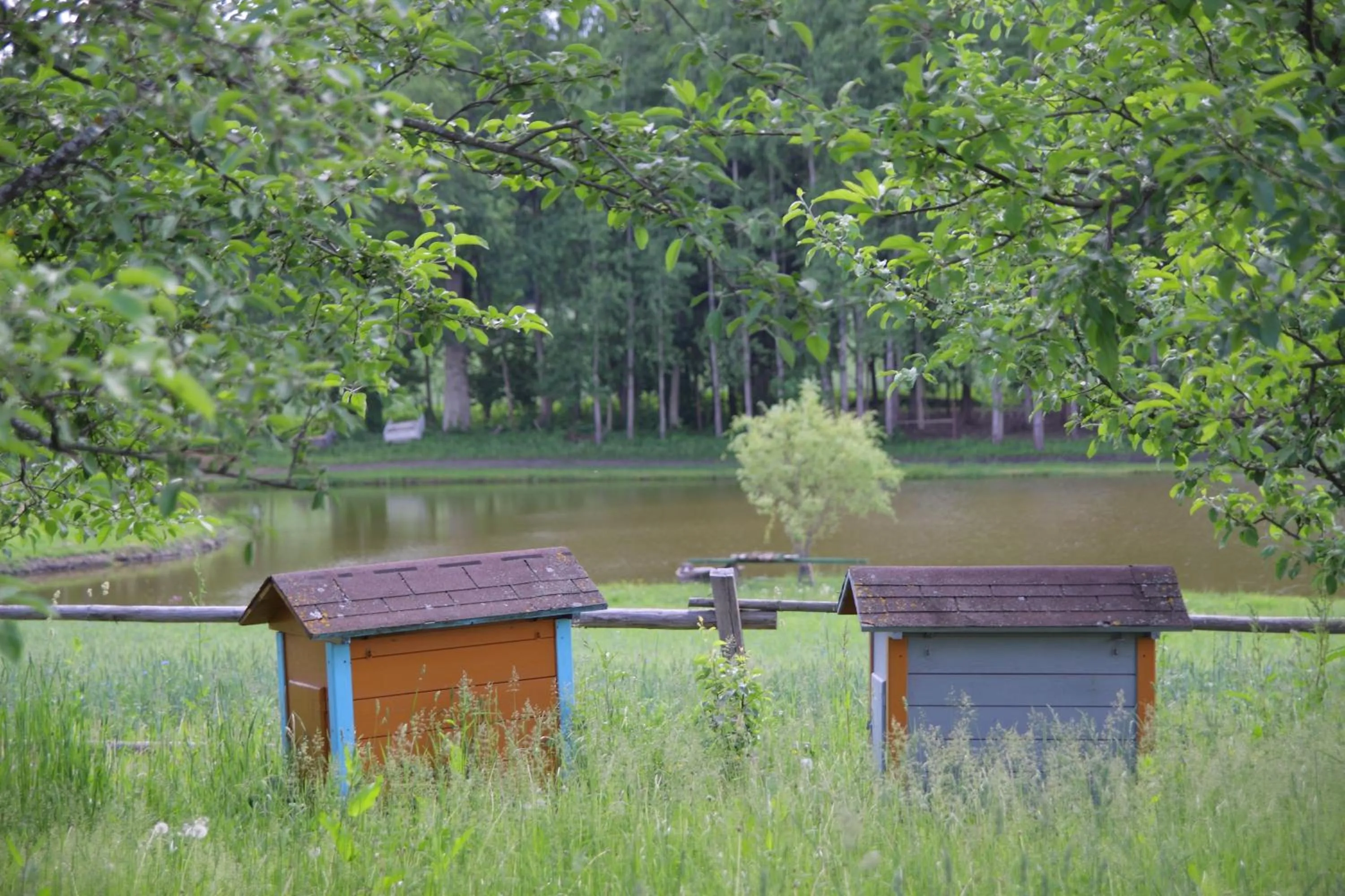 Activities in Siedlisko Leszczewek