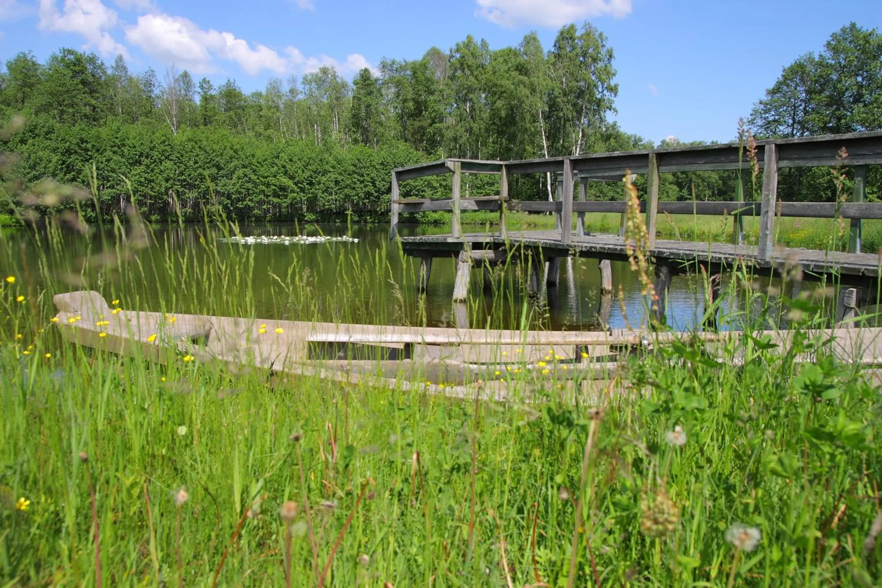 Summer in Siedlisko Leszczewek