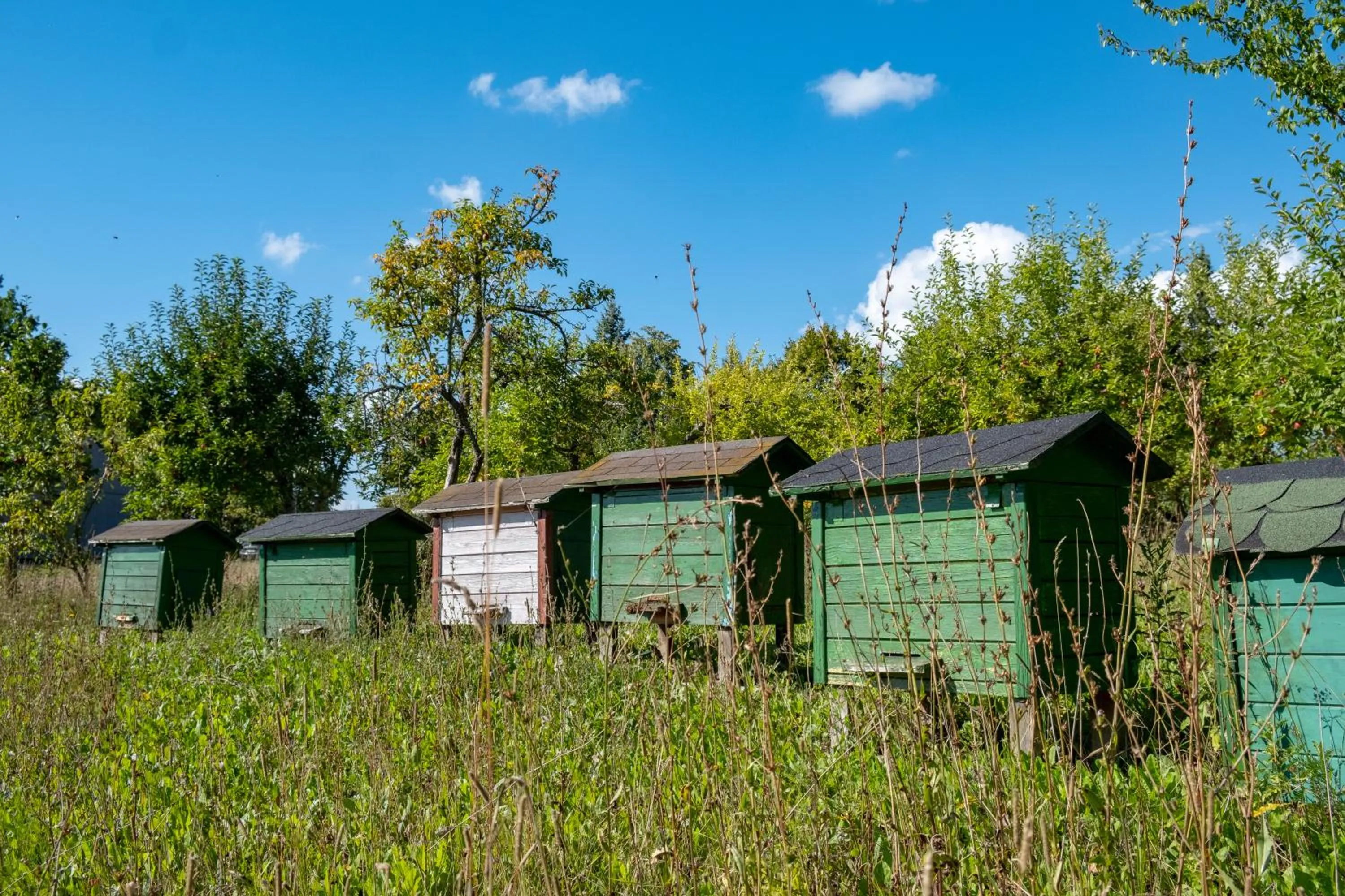 Siedlisko Leszczewek