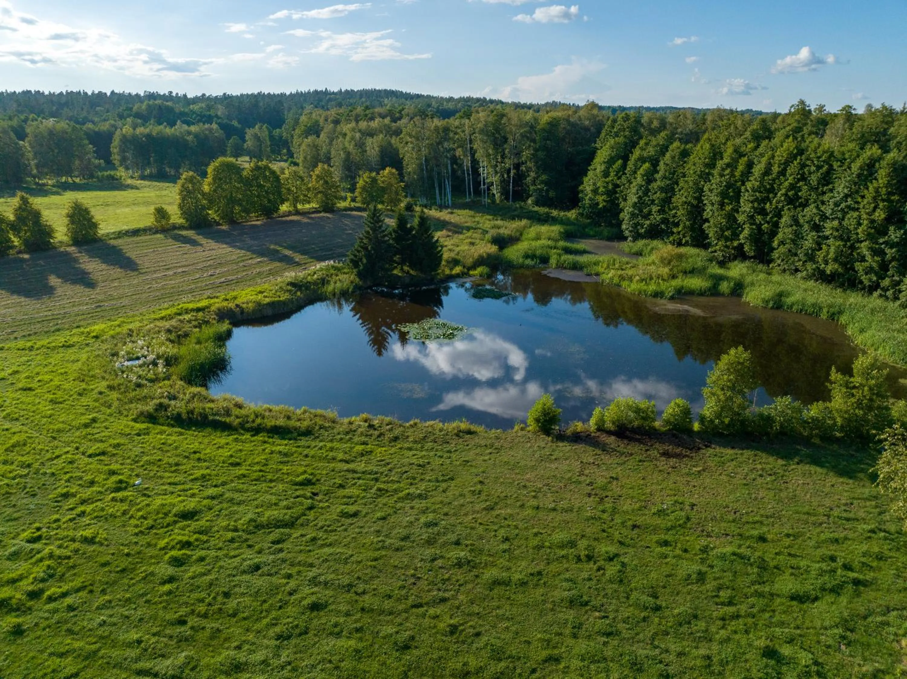 Siedlisko Leszczewek