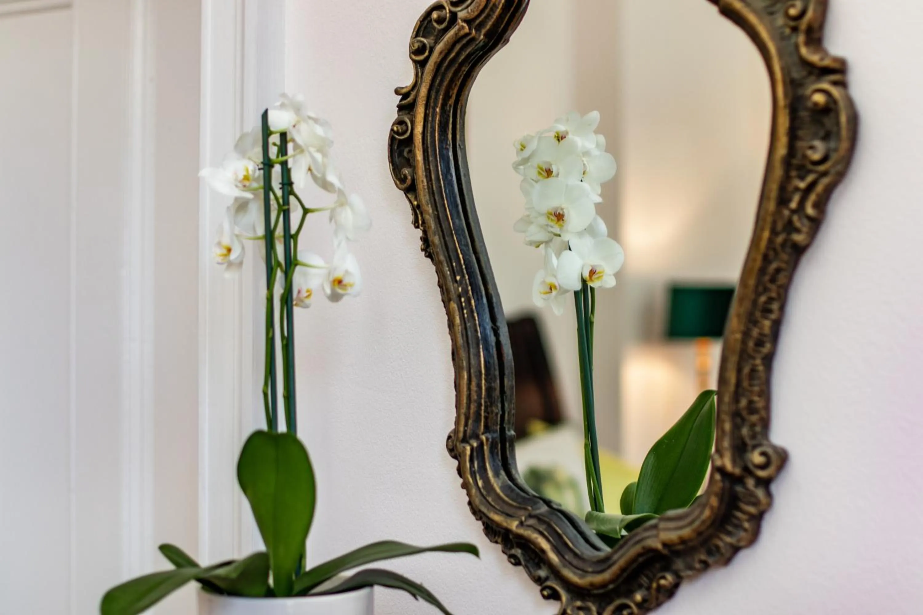 Decorative detail in Carmichael House Boutique Hotel