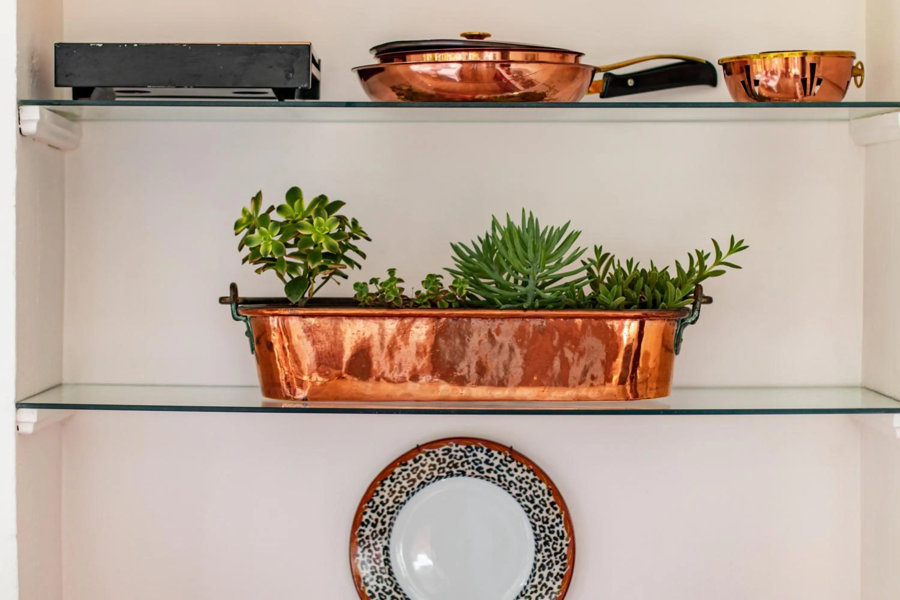 Decorative detail in Carmichael House Boutique Hotel