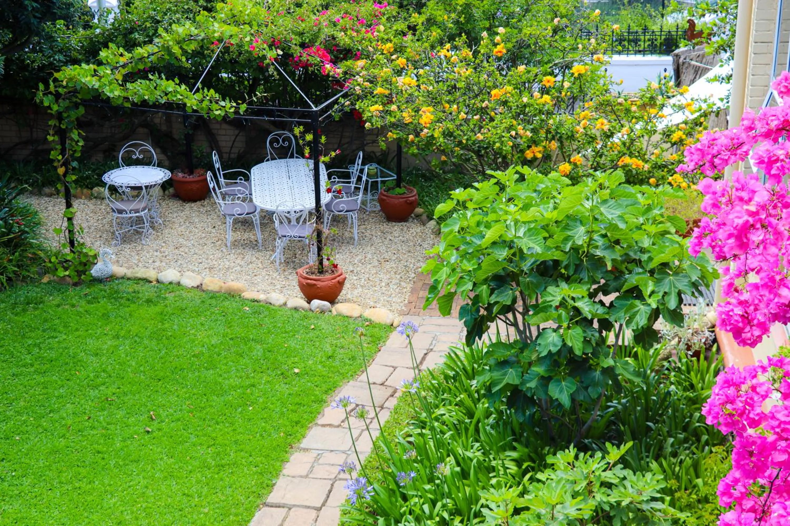 Garden in Carmichael House Boutique Hotel