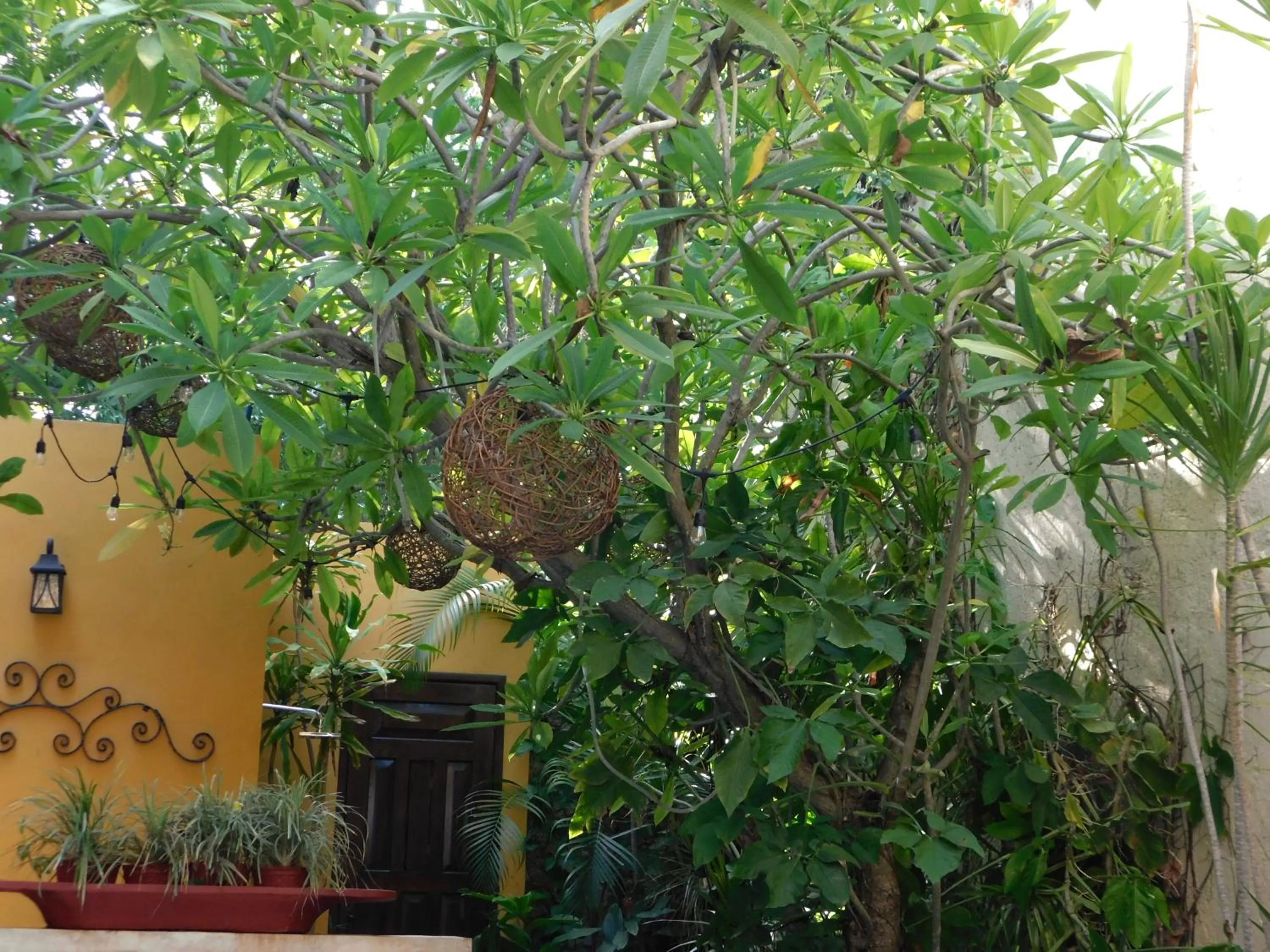 Hotel Boutique Casa Flor de Mayo