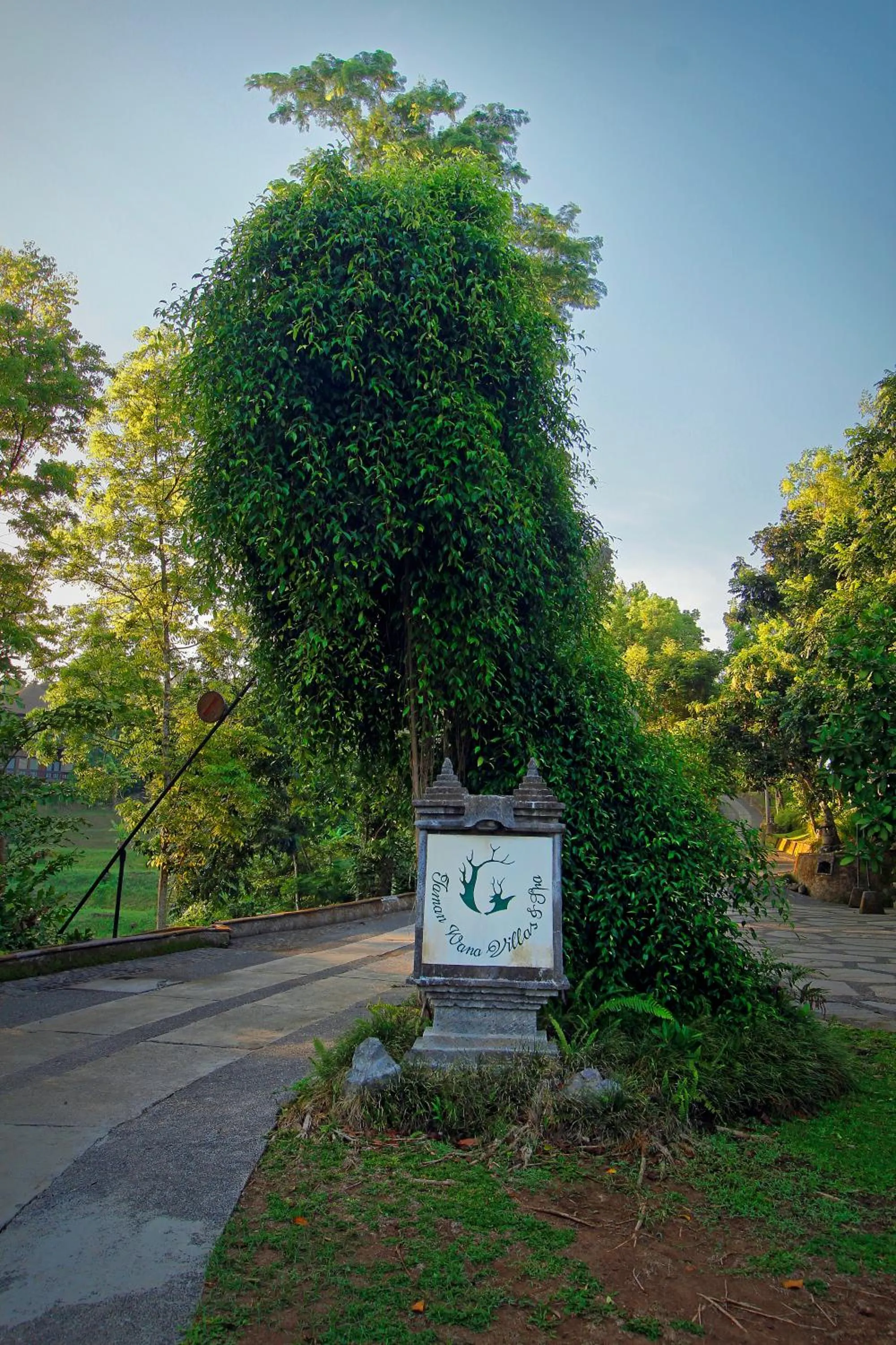 Taman Wana Resort Palasari