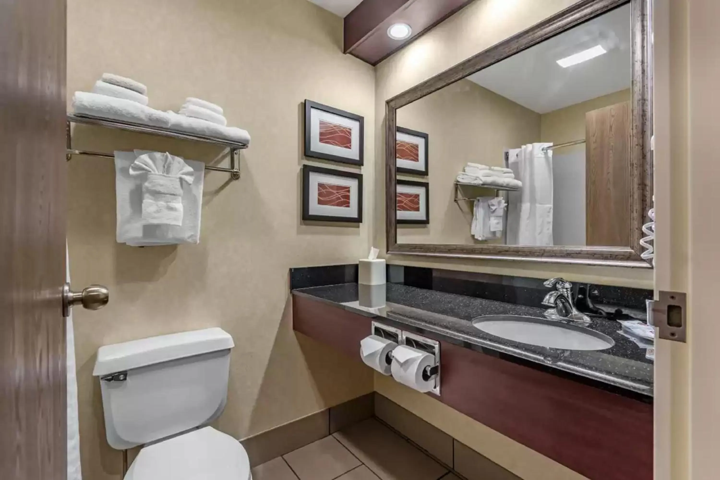 Bathroom in Comfort Inn Augusta