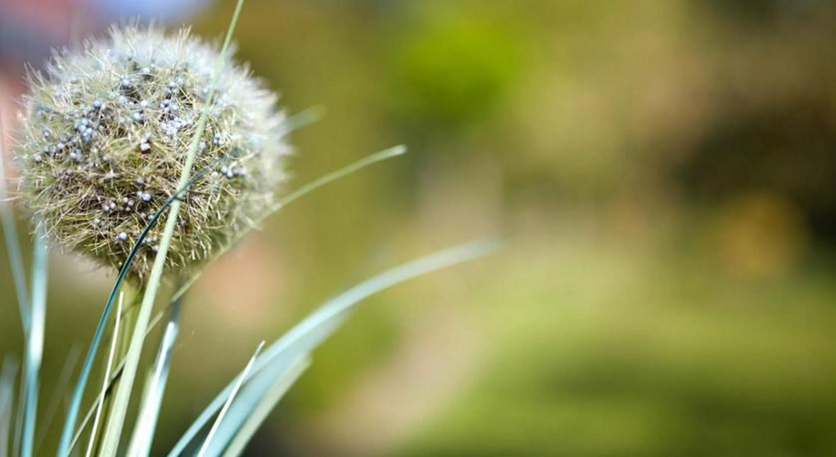Decorative detail in Hotel Waldblick Deppe