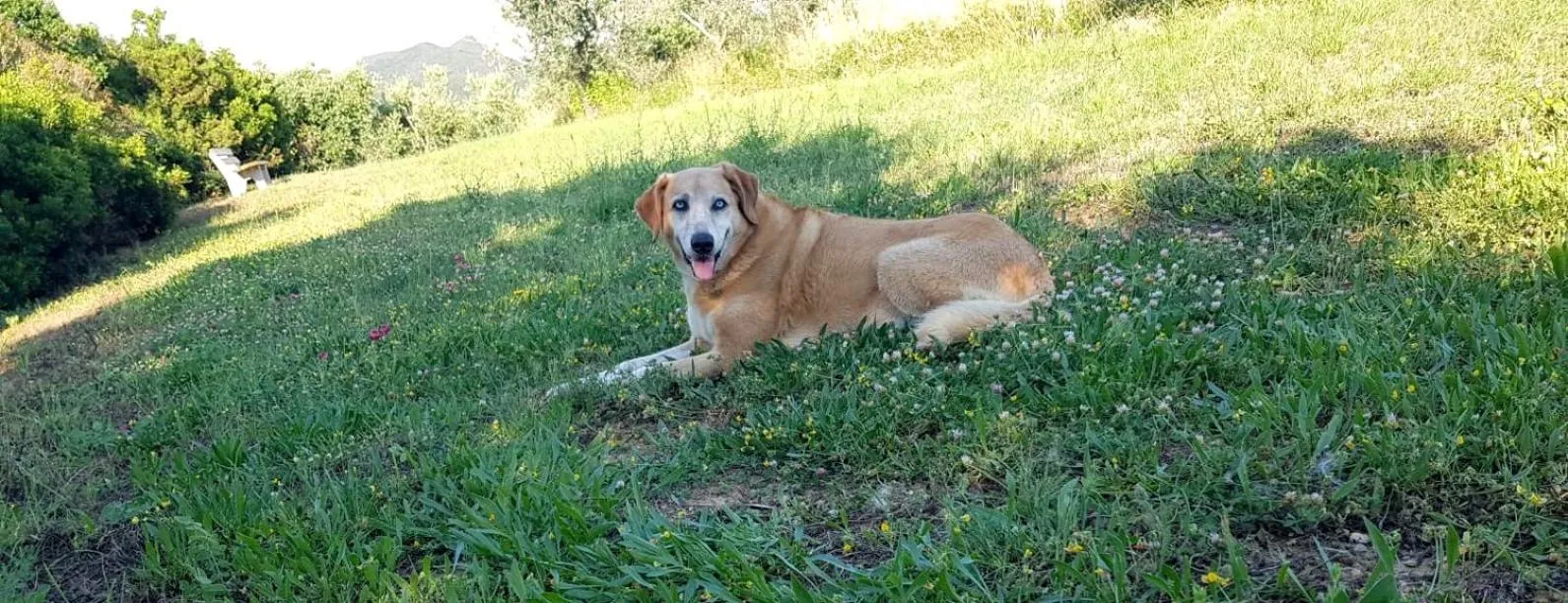Garden in RTA Costa Etrusca