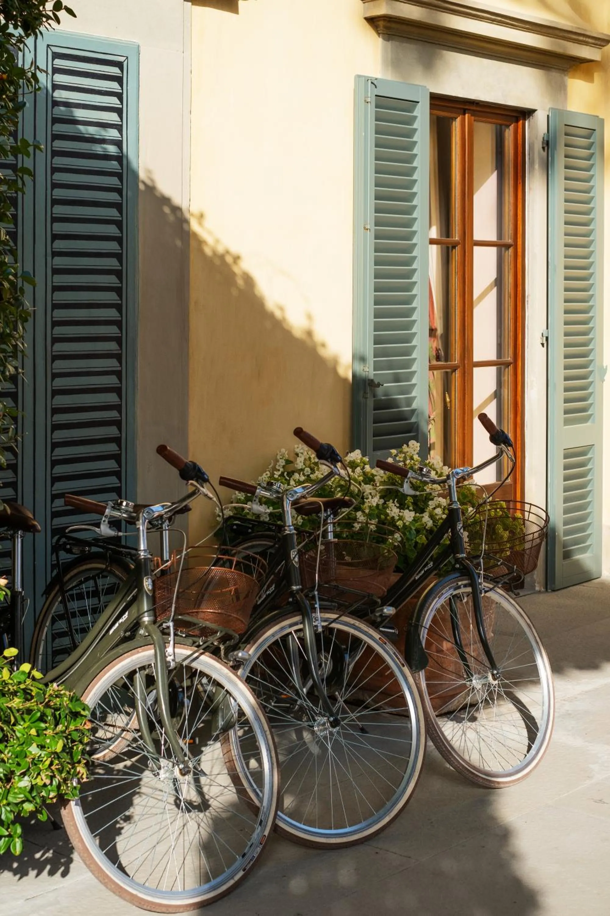 Cycling in Villa La Massa