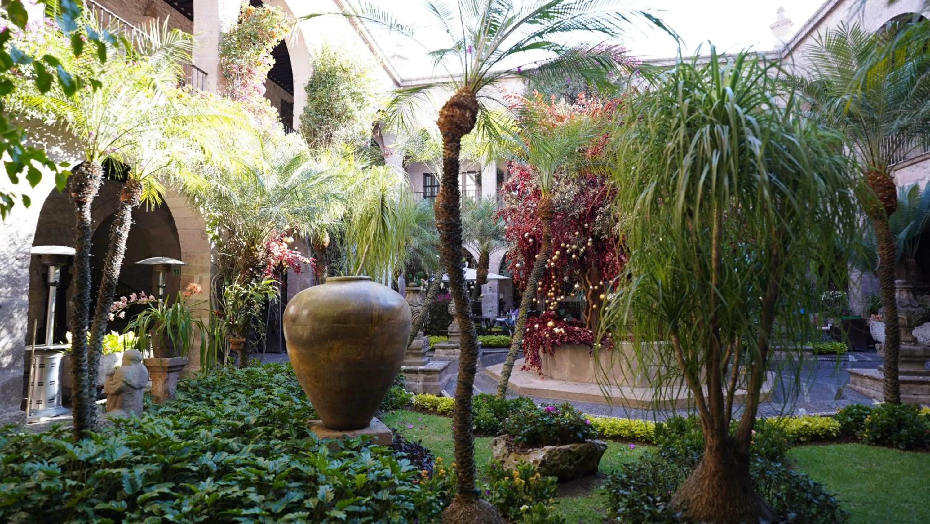 Garden view in Hotel De La Soledad