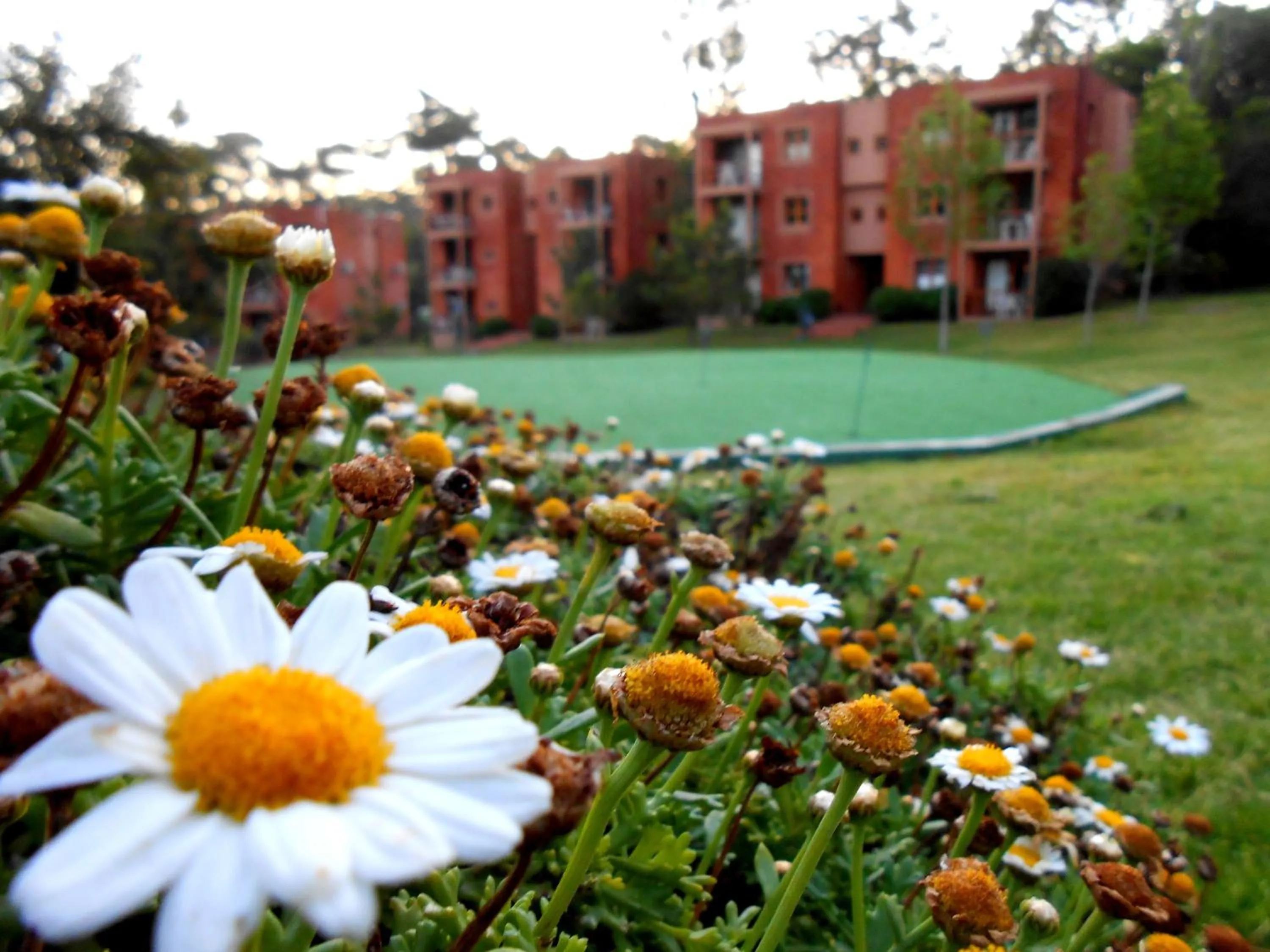 Garden in Rincon del Este Resort