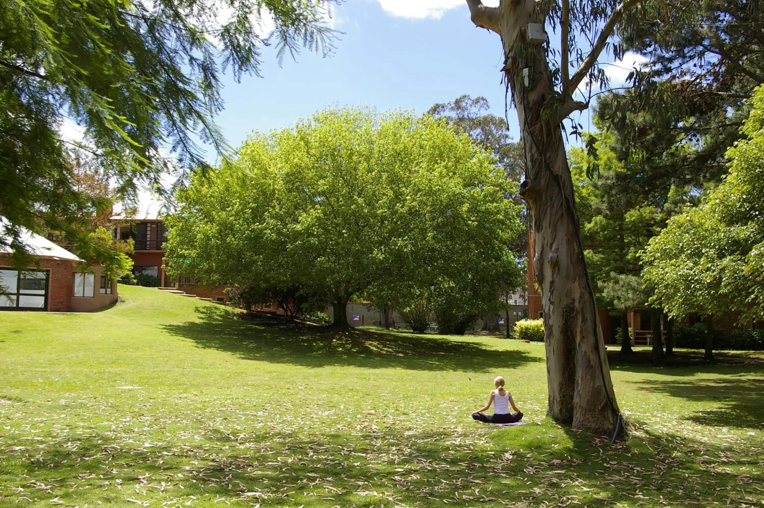 Garden in Rincon del Este Resort