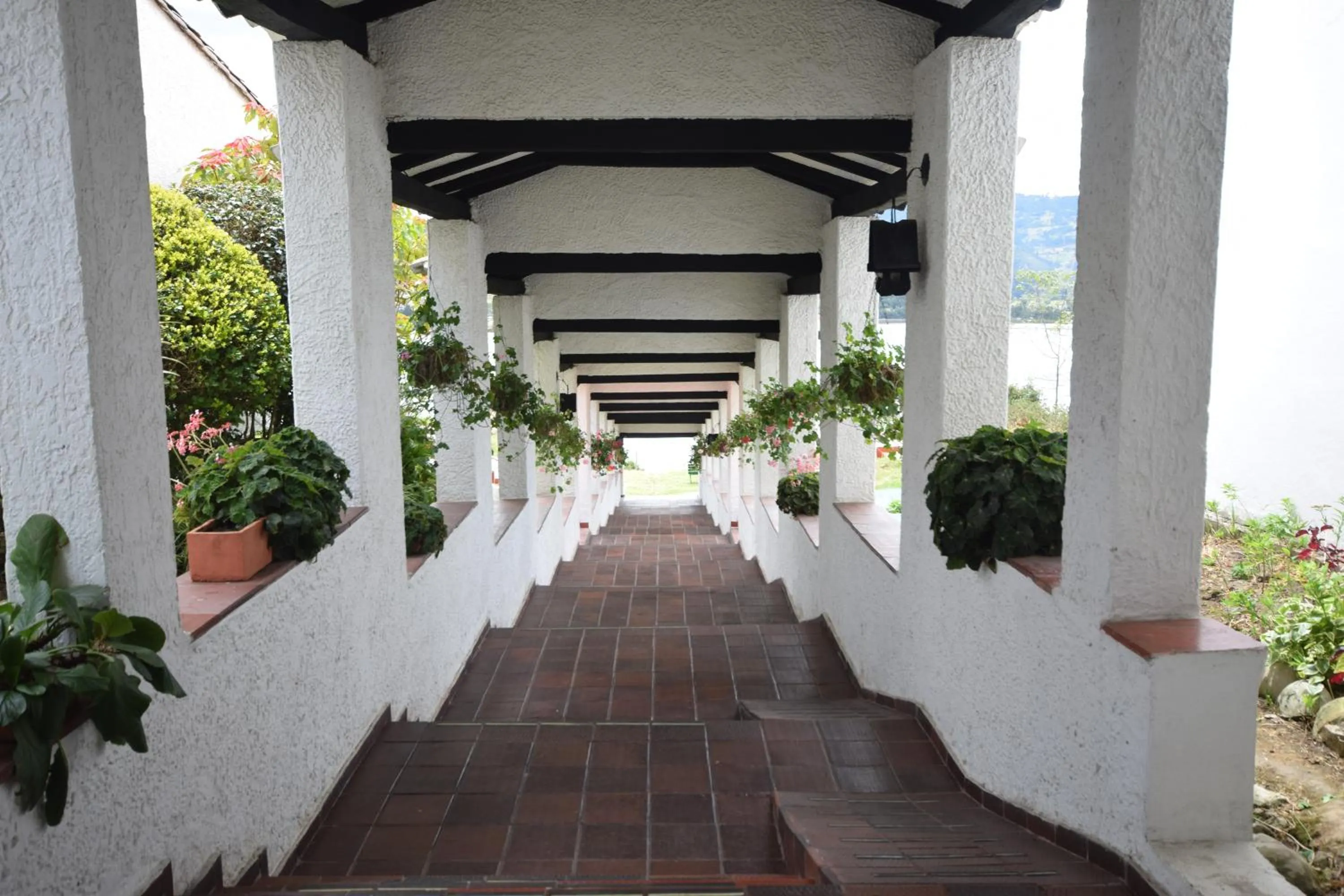 Patio in D'Acosta Hotel Sochagota