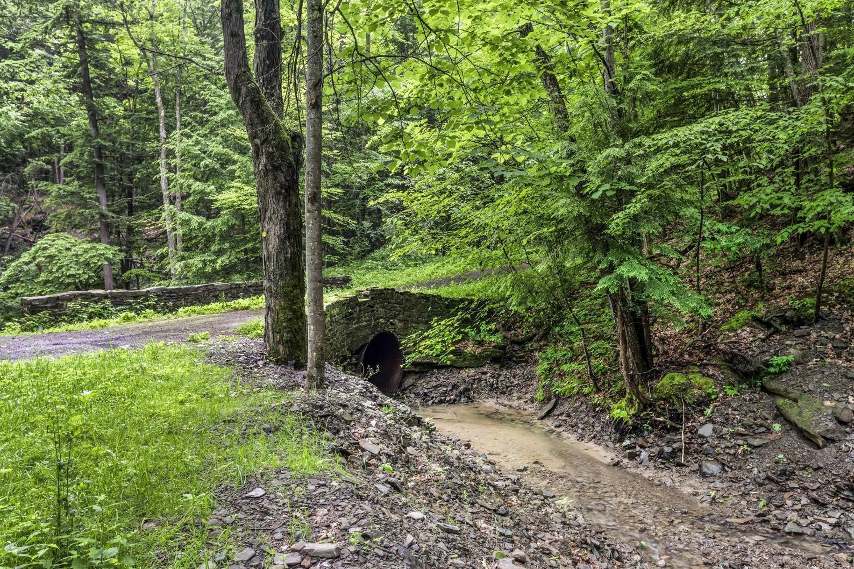 Other in Traditions Hotel & Spa Johnson City - Binghamton, an Ascend Collection Hotel