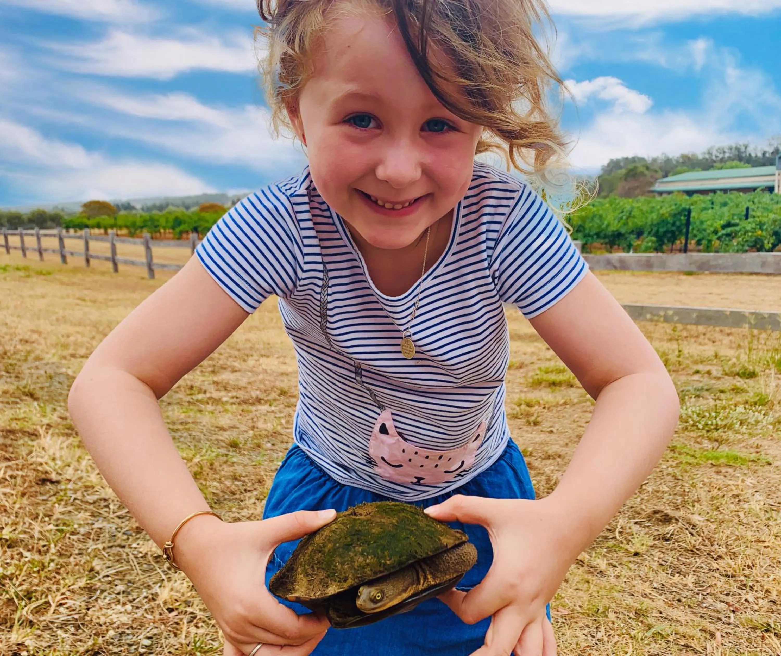 Animals in Estate Tuscany