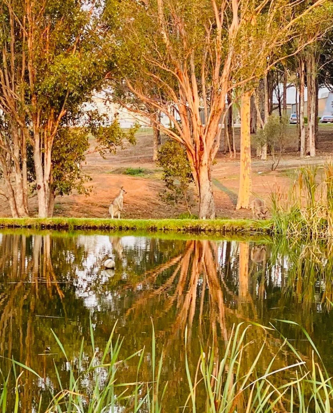 Natural landscape in Estate Tuscany