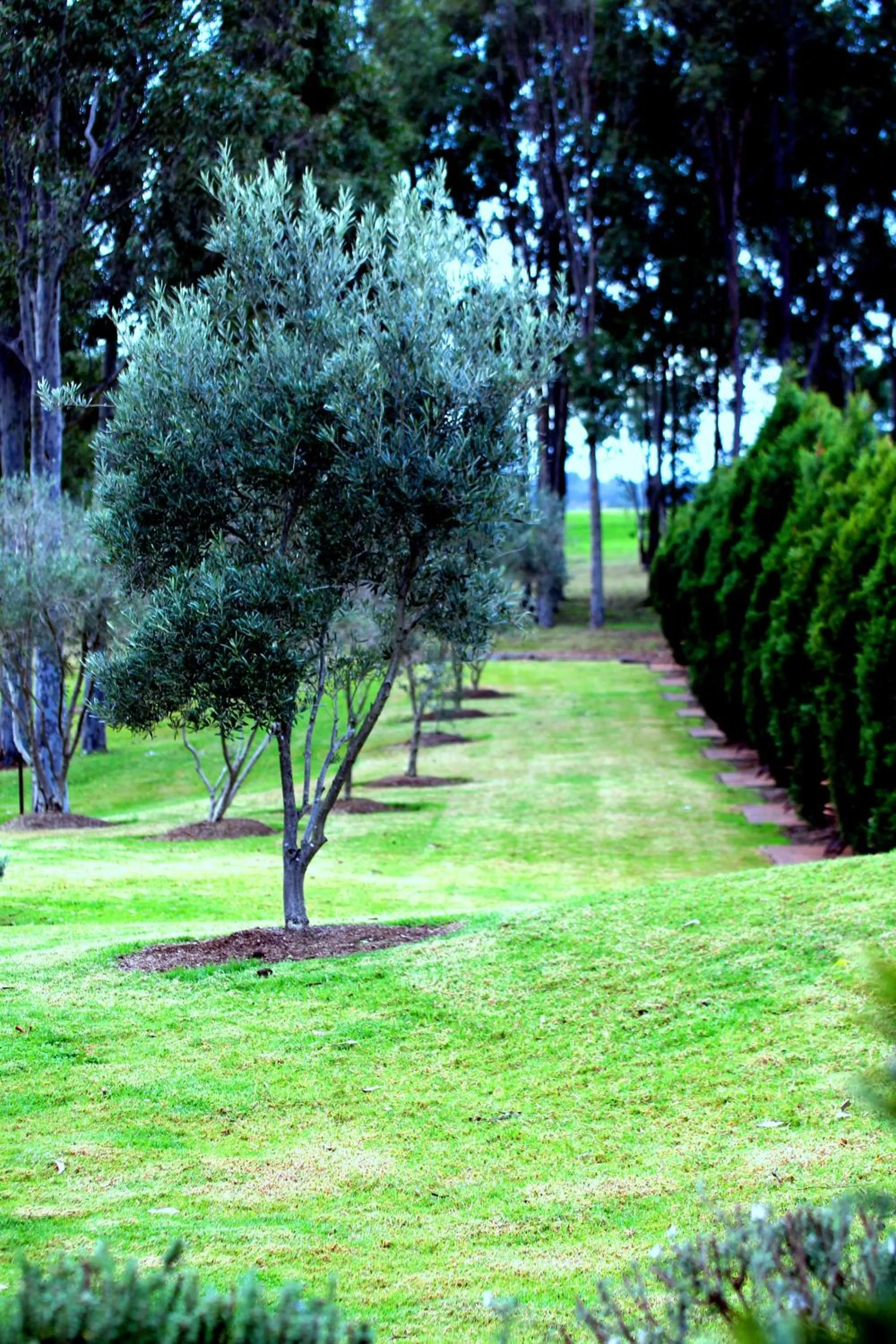 Natural landscape in Estate Tuscany